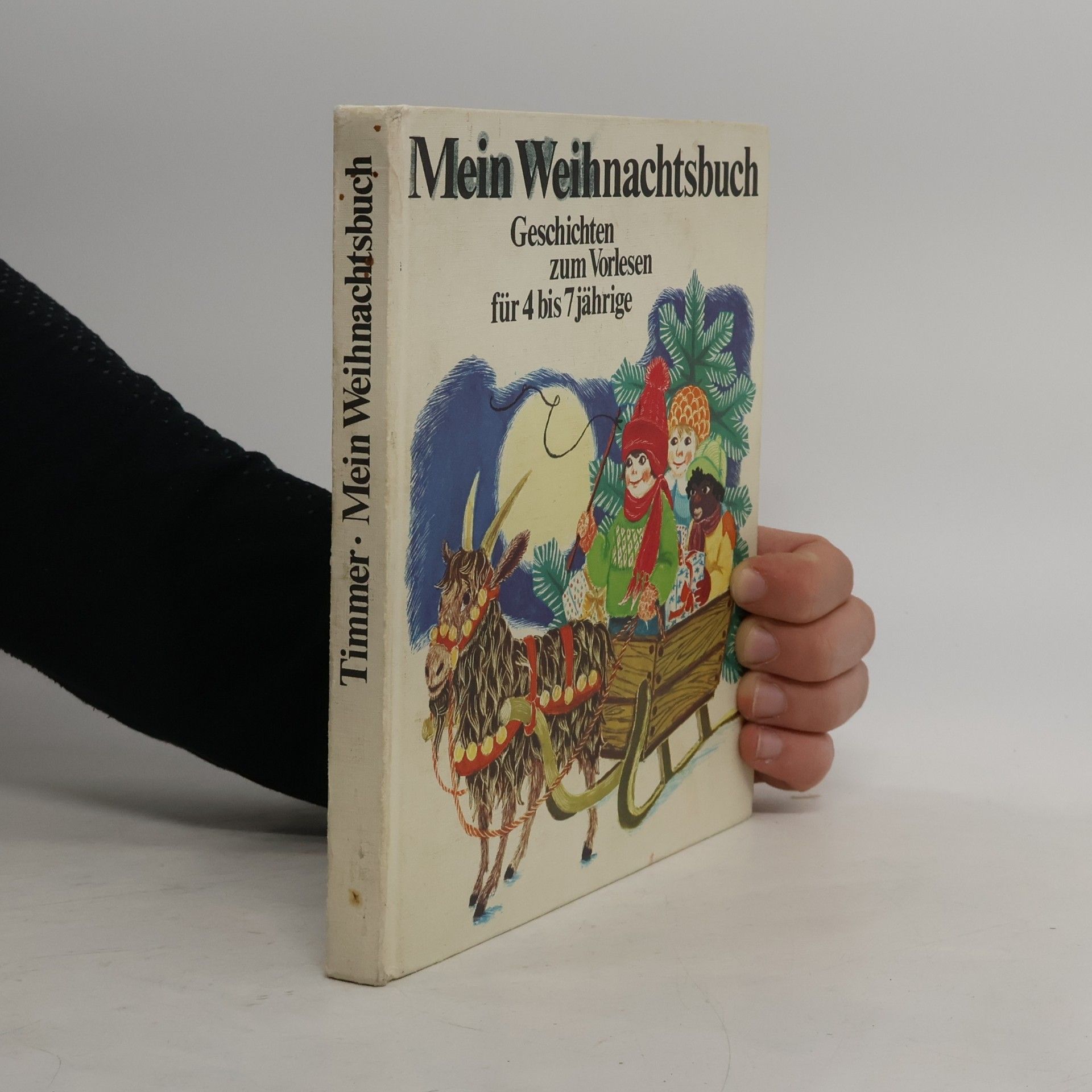 Kolektiv autorů Mein Weihnachtsbuch