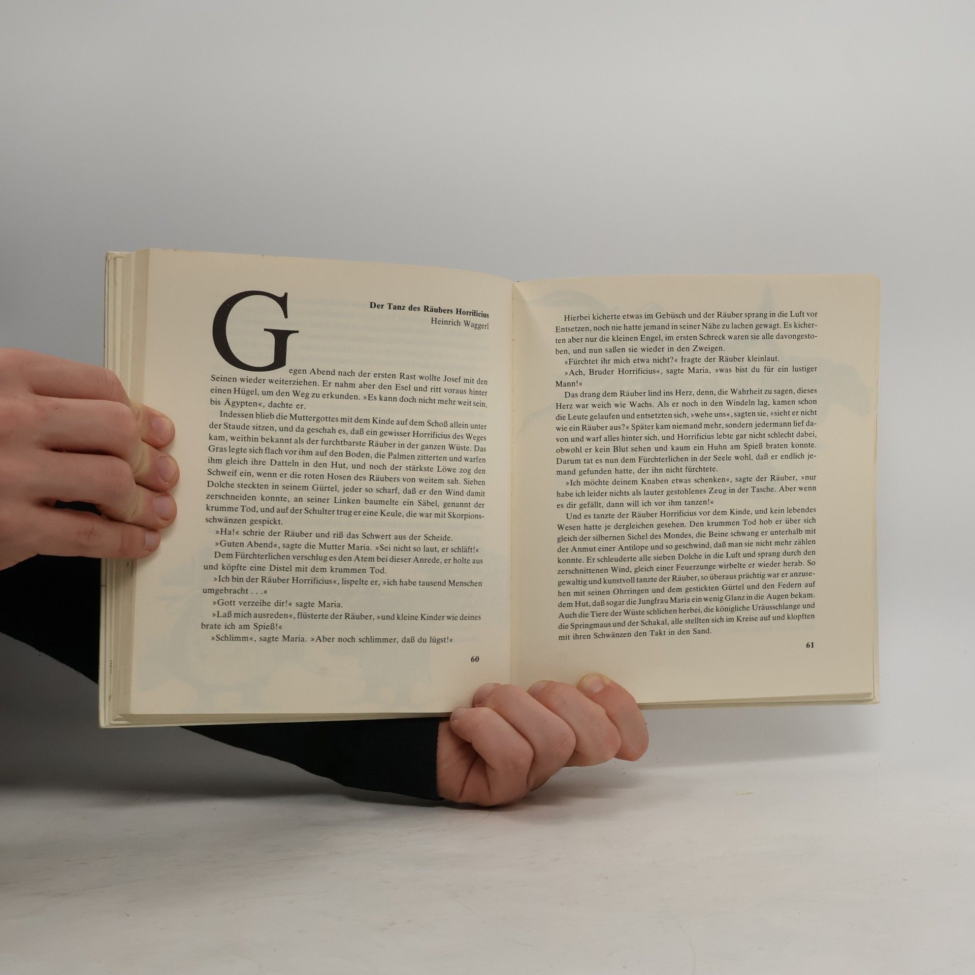 Kolektiv autorů Mein Weihnachtsbuch