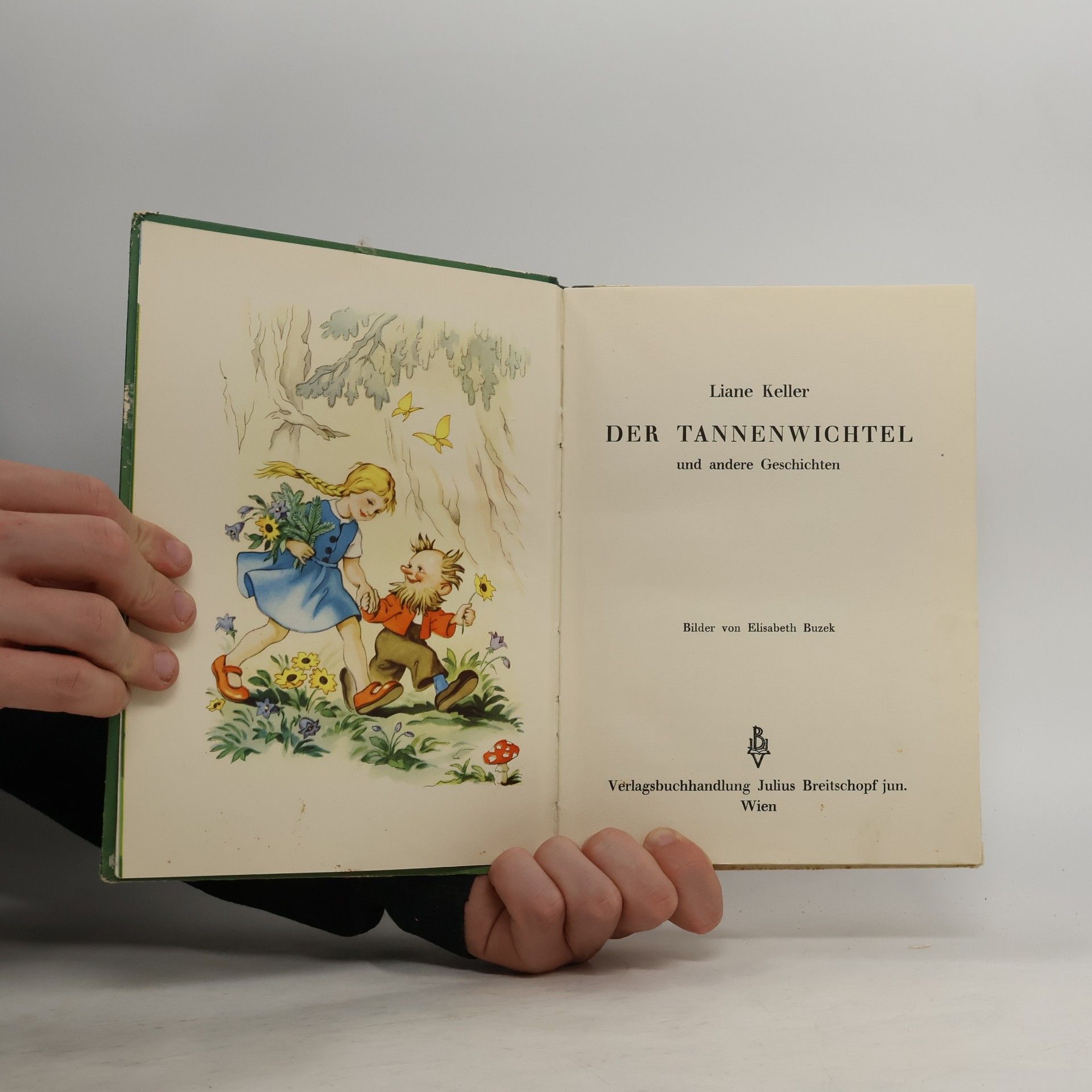 Liane Keller Der Tannenwichtel
