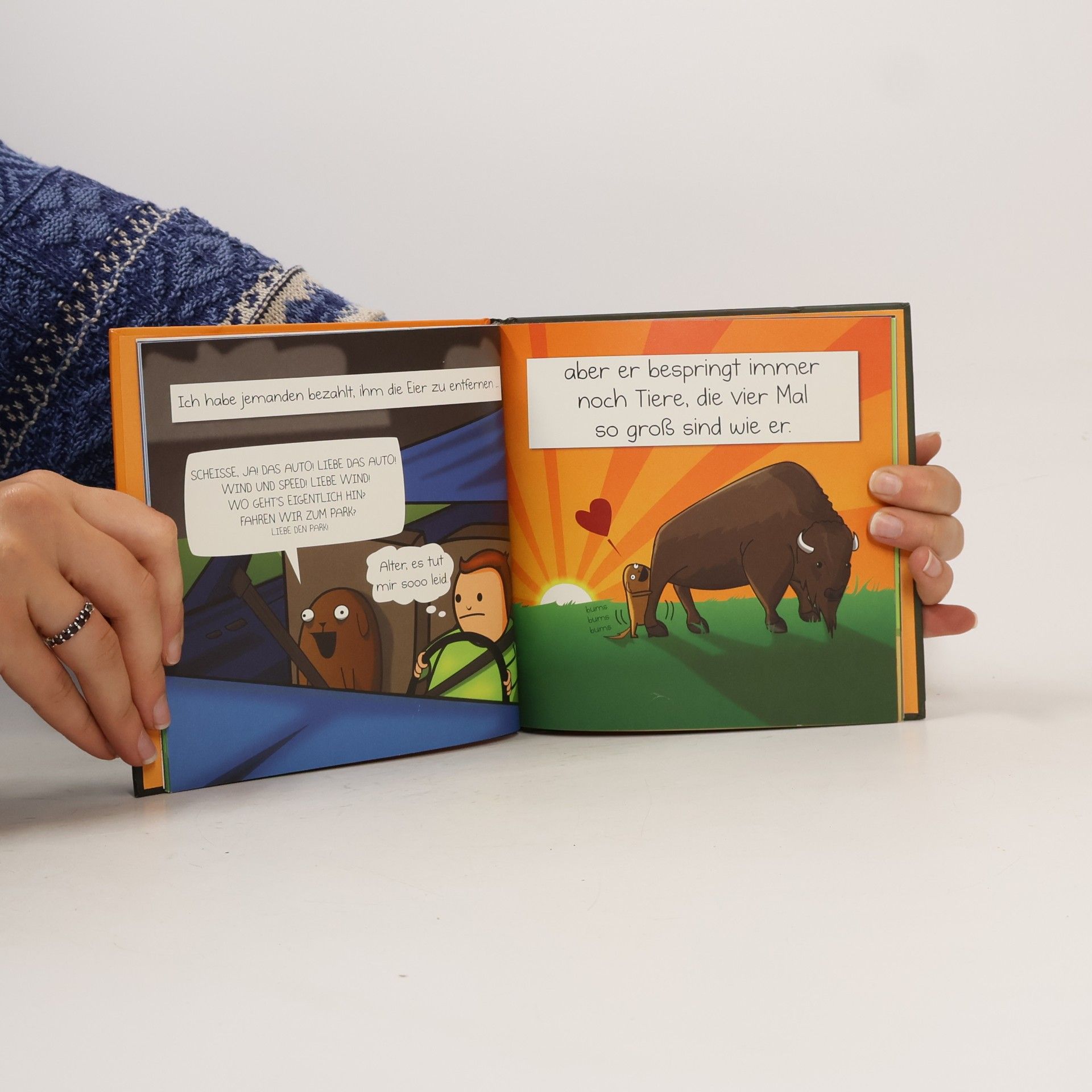 The Oatmeal Mein Hund: das Paradoxon