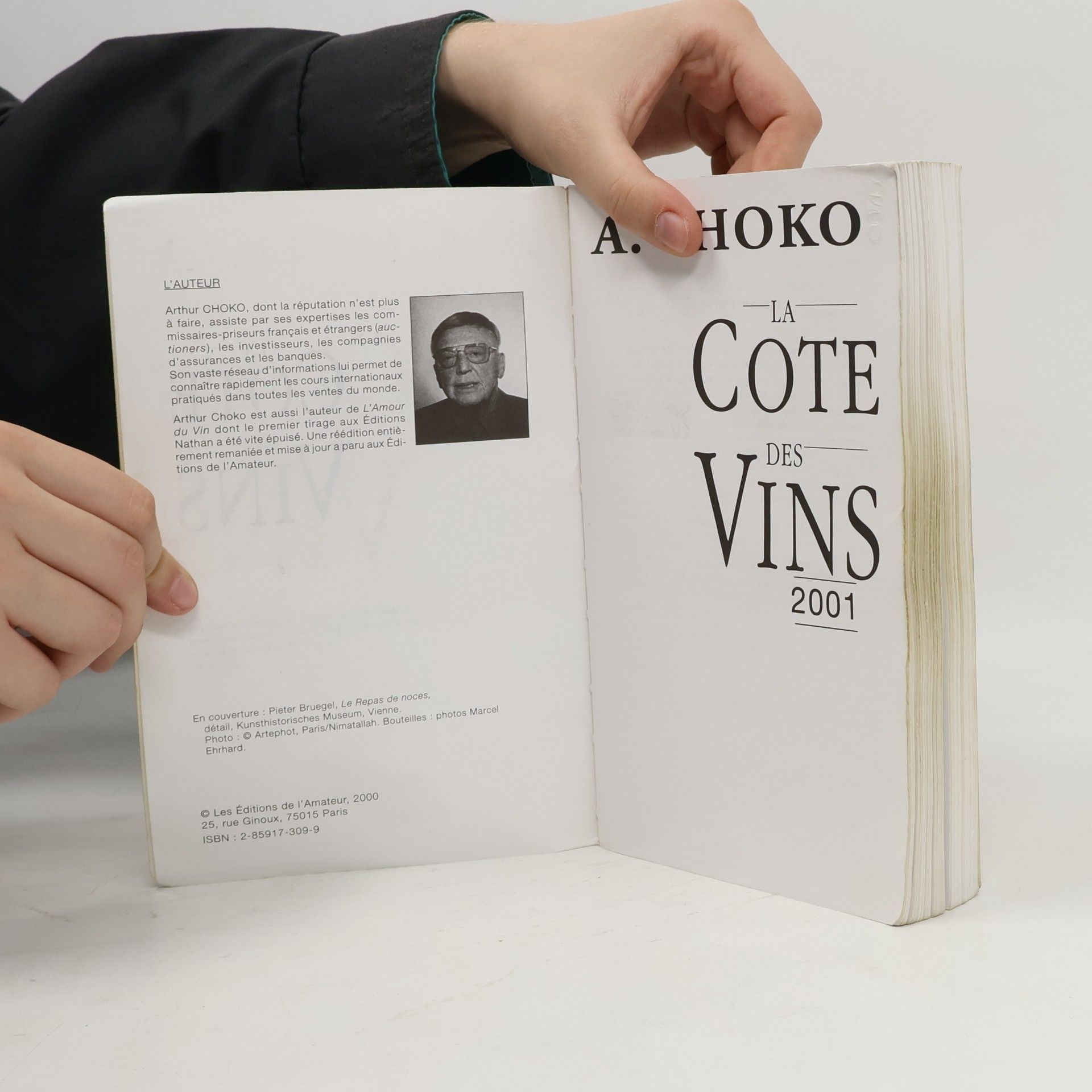 Arthur Choko La Cote Des Vins