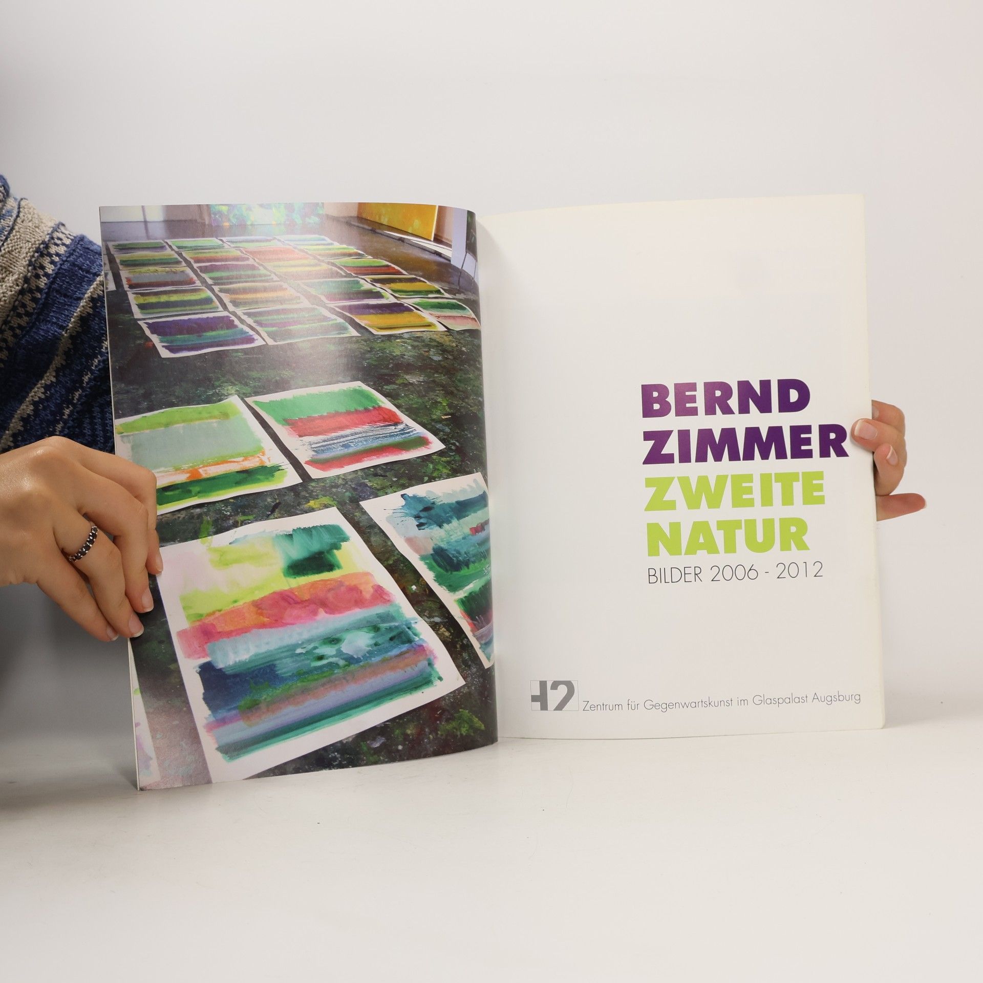 Bernd Zimmer Zweite Natur
