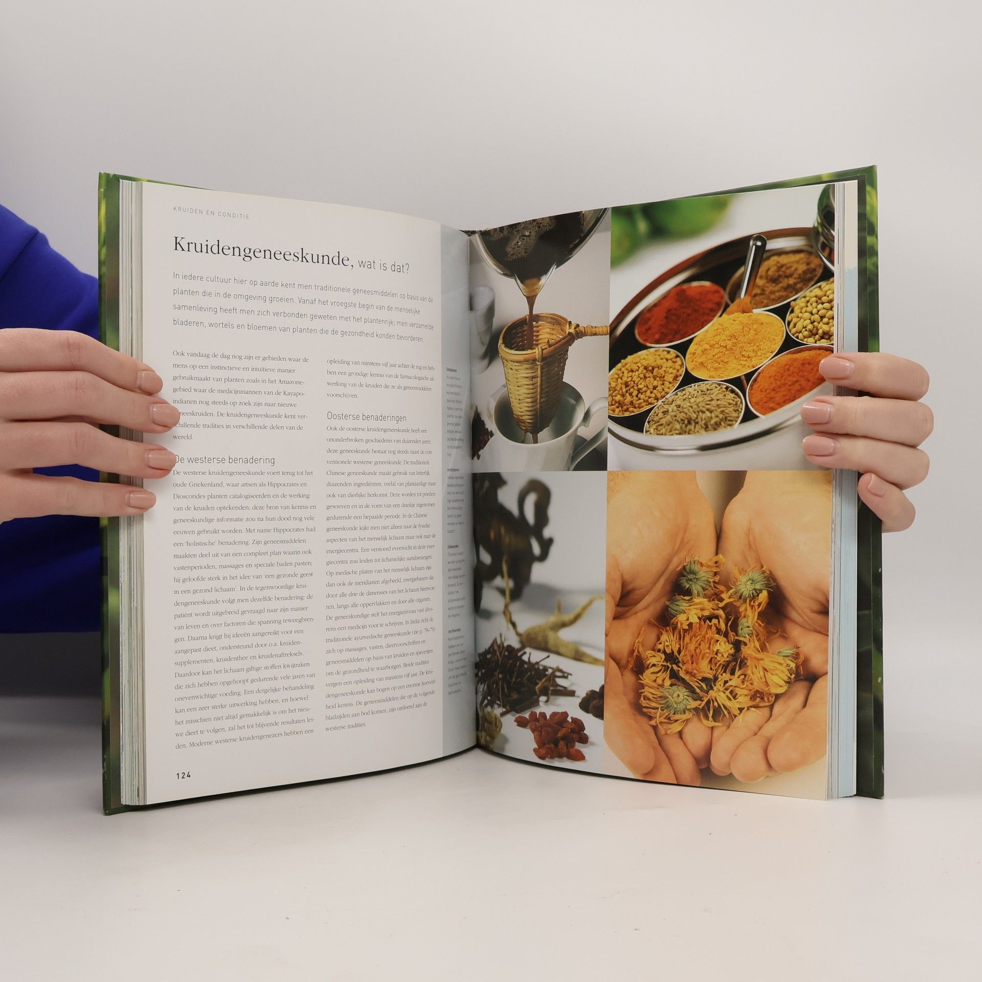 Jennie Harding Het grote kruidenboek