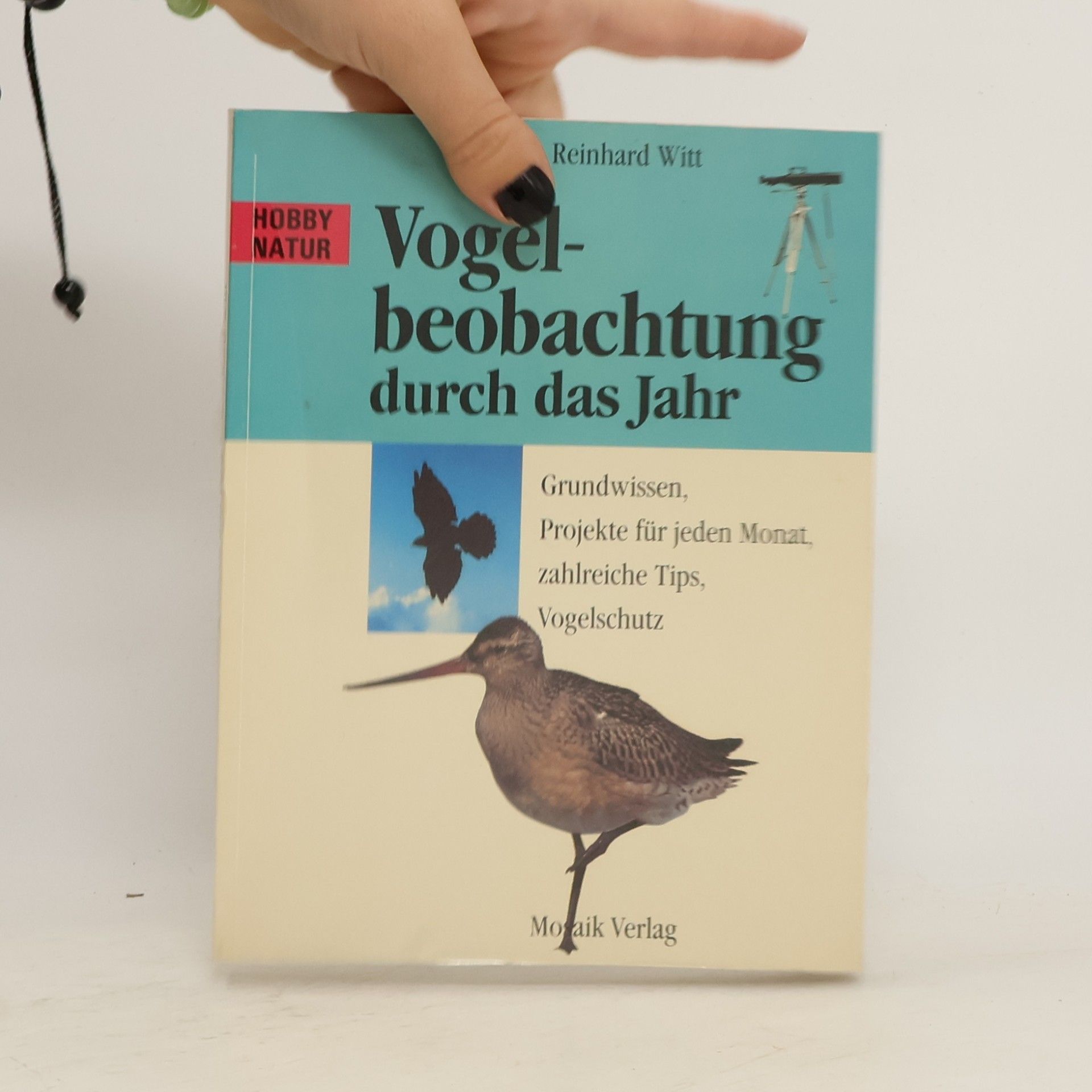 Vogelbeobachtung durch das Jahr