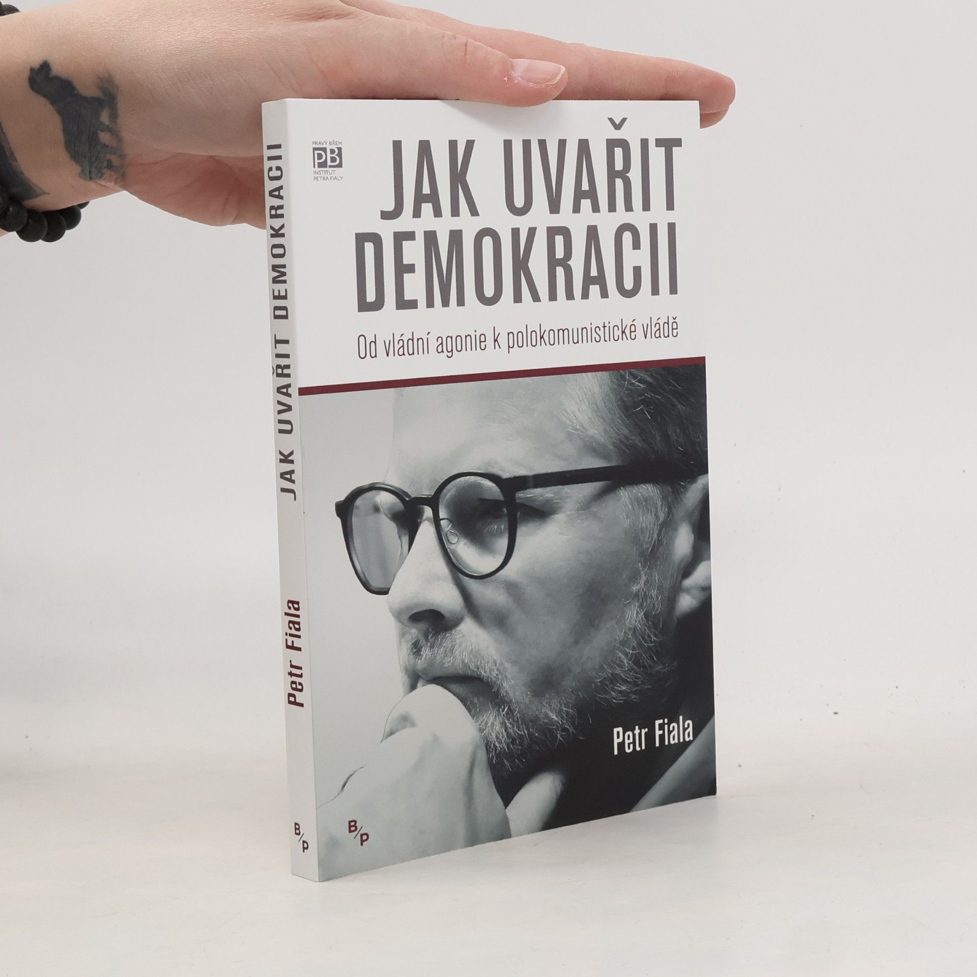Jak uvařit demokracii. Od vládní agonie k polokomunistické vládě