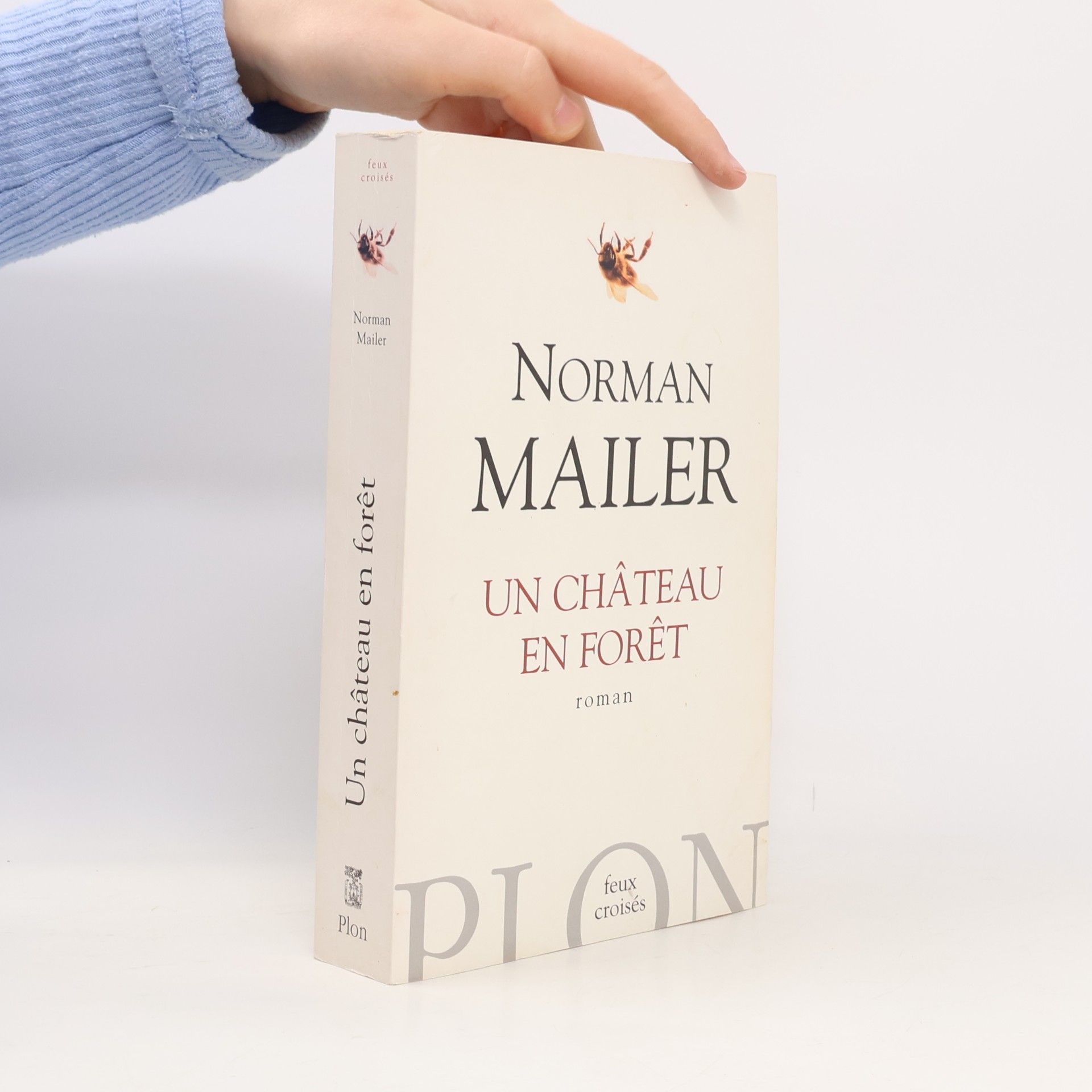 Norman Mailer Feux croisés: Un château en forêt