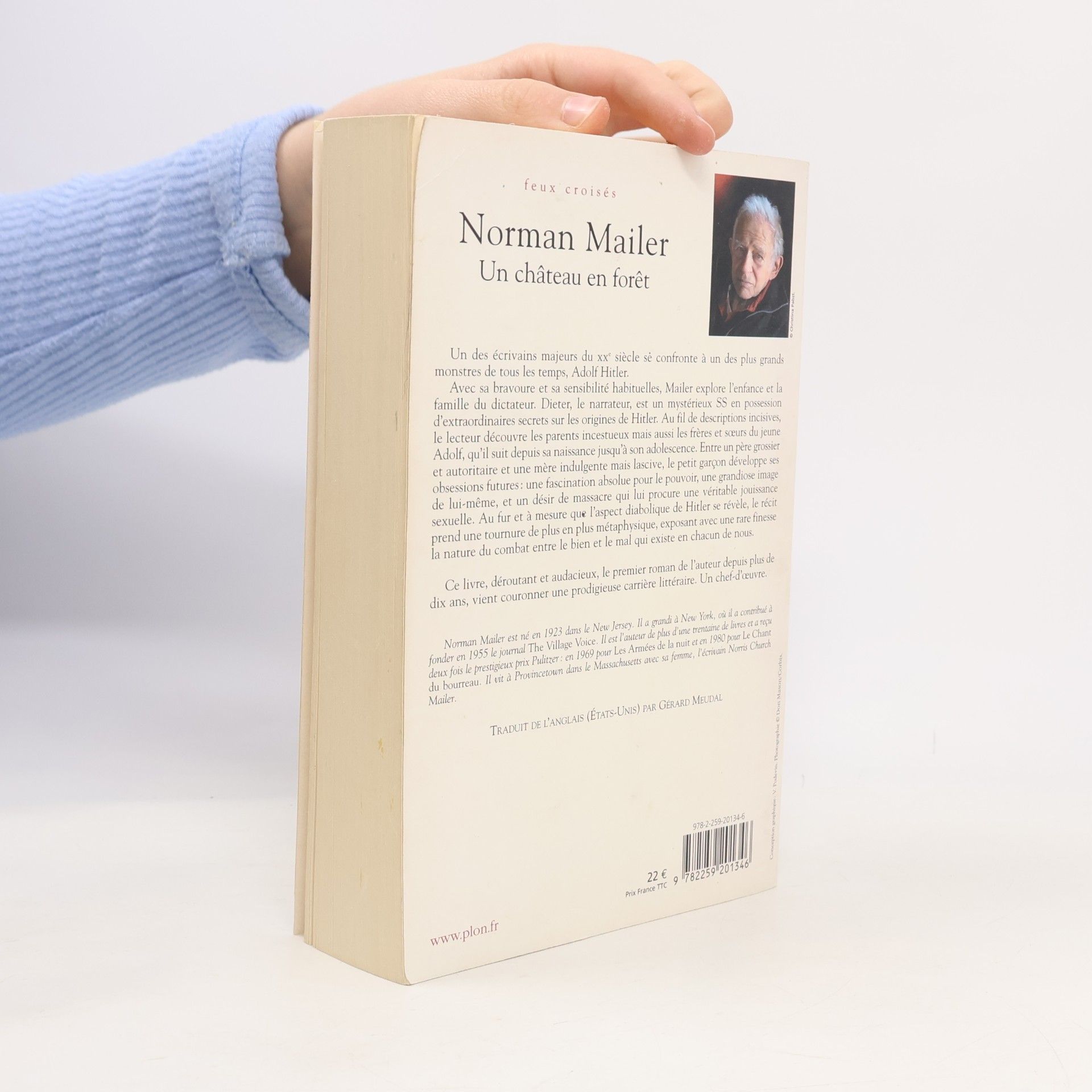 Norman Mailer Feux croisés: Un château en forêt