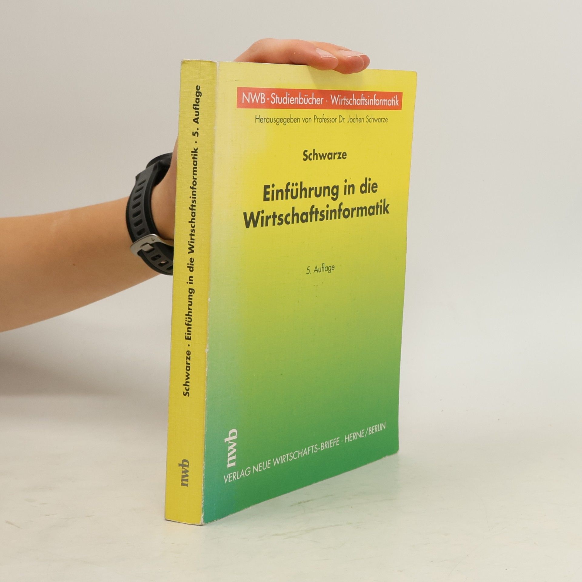 Einführung in die Wirtschaftsinformatik