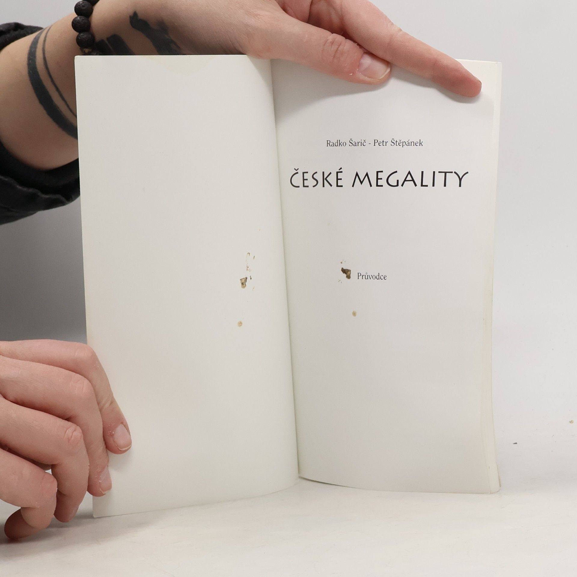 Radko Šarič České megality