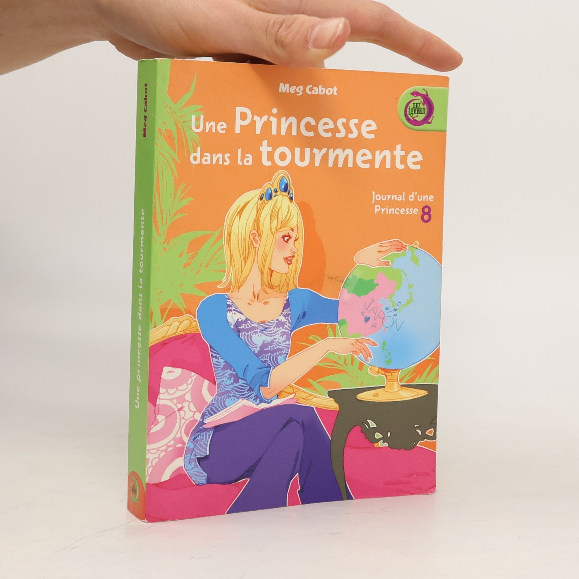 Journal d'une Princesse - 8: Une princesse dans la tourmente