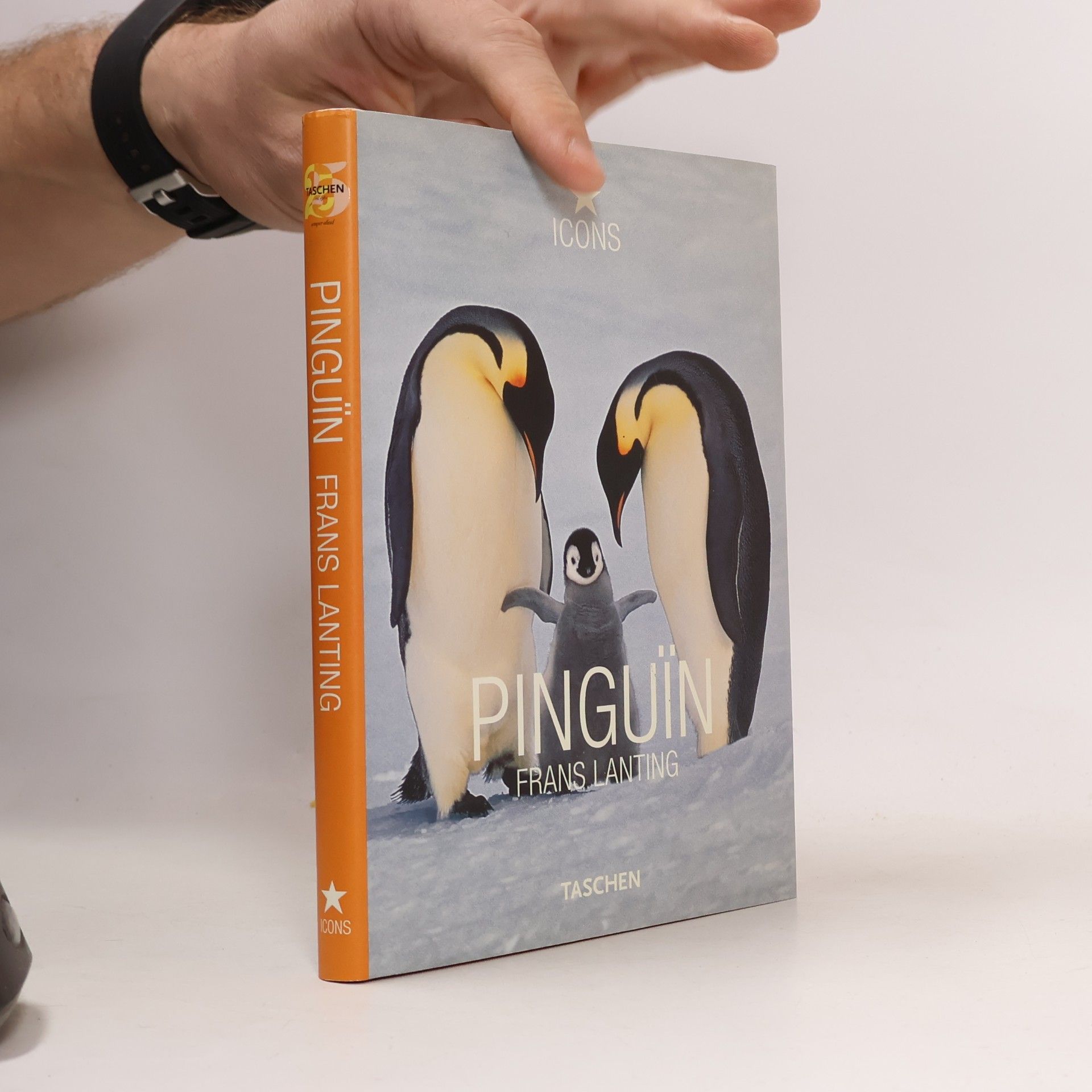 Icons: Pinguïn