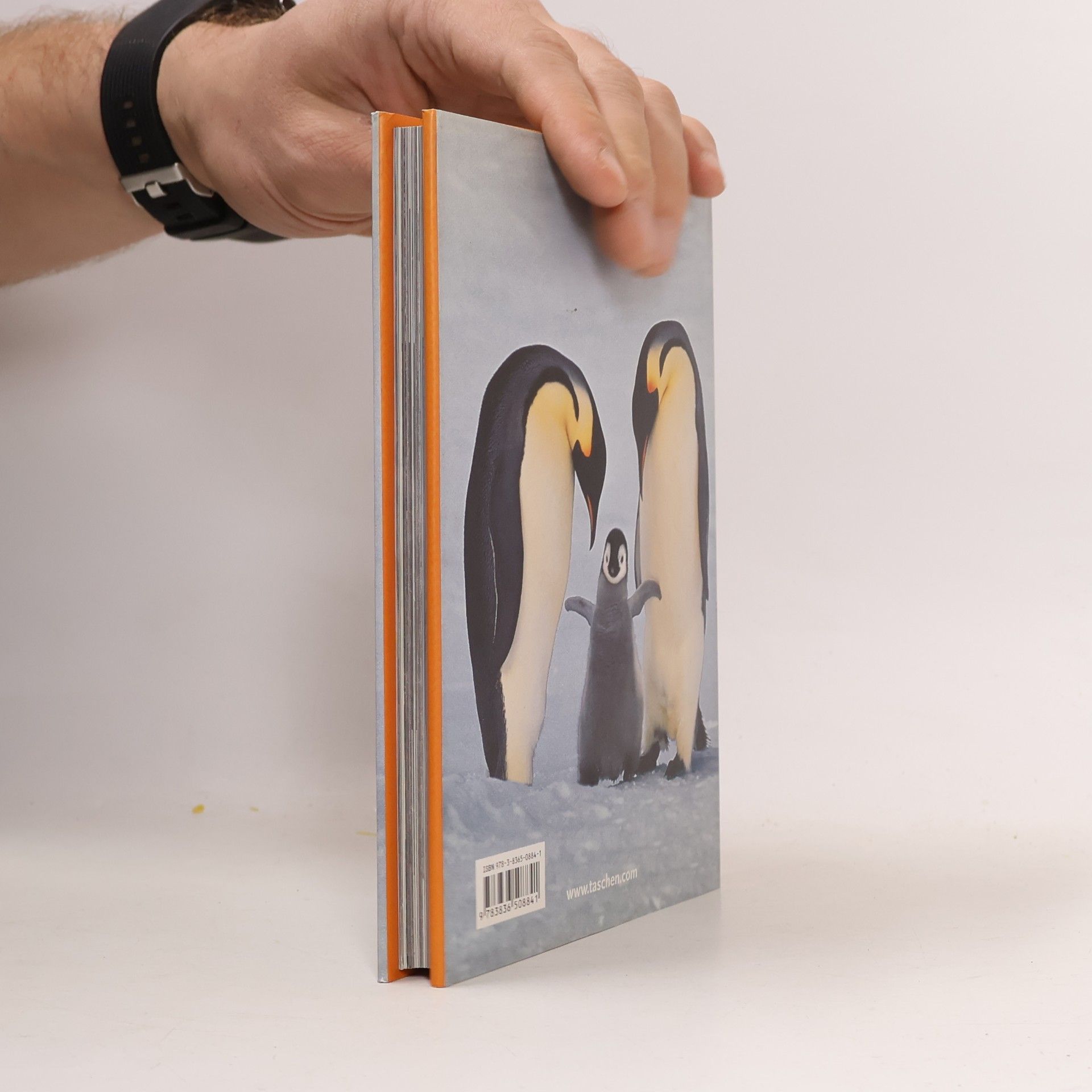 Frans Lanting Icons: Pinguïn