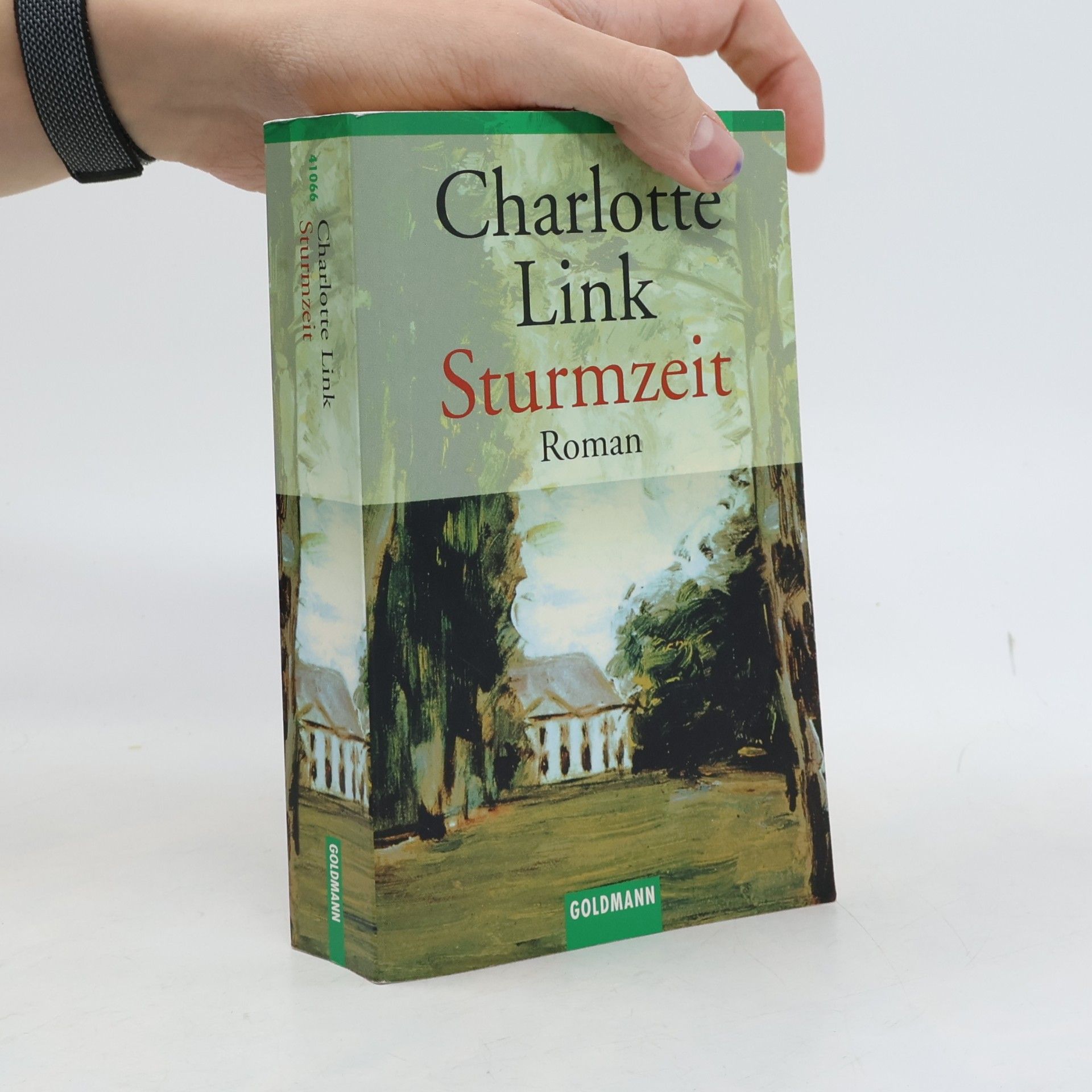 Sturmzeit