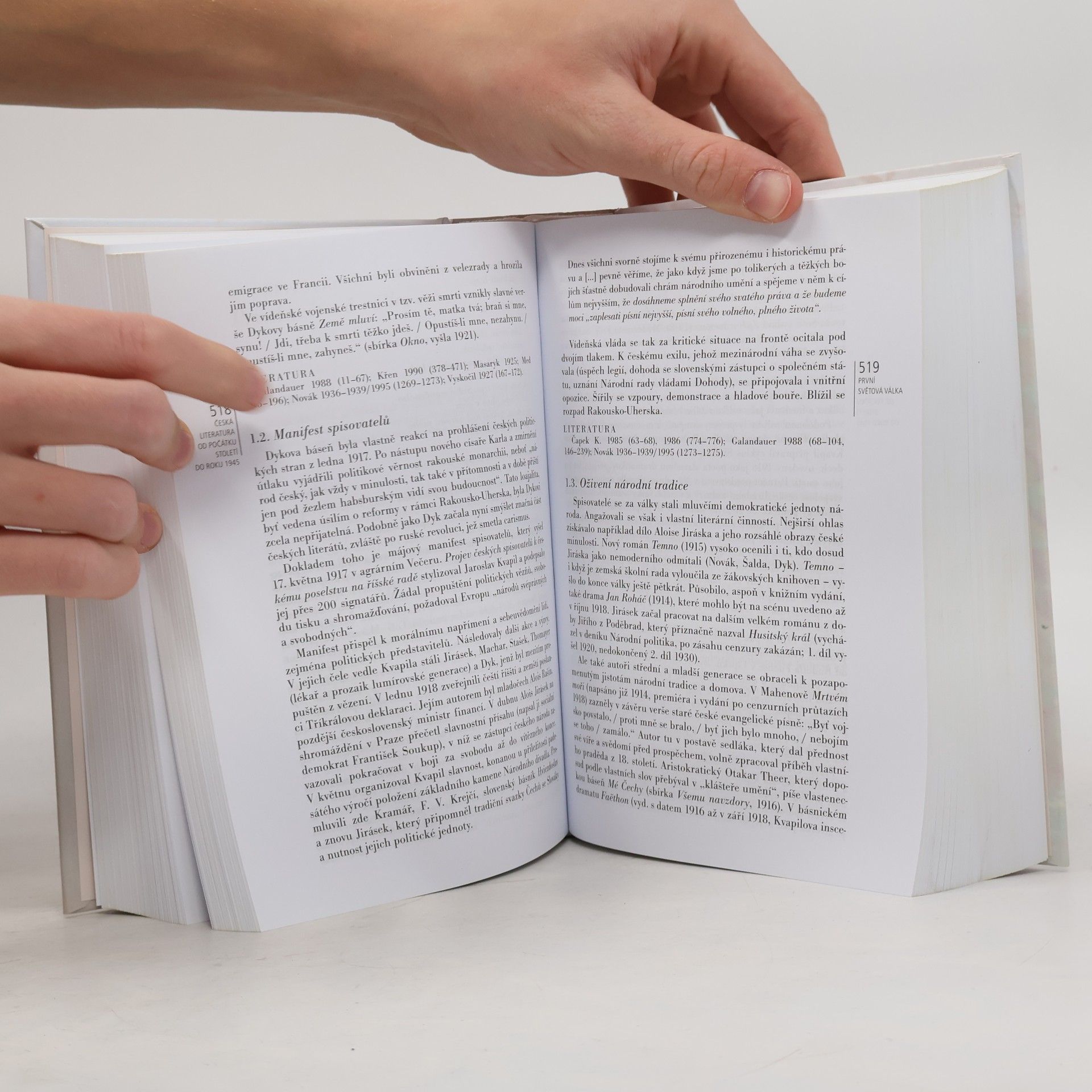 Jan Lehár Česká literatura od počátků k dnešku