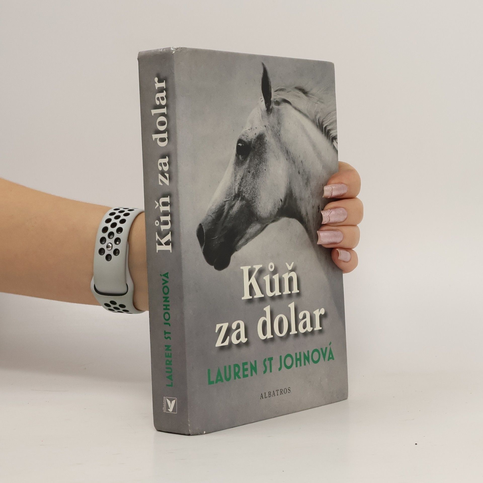 Lauren St. John Kůň za dolar