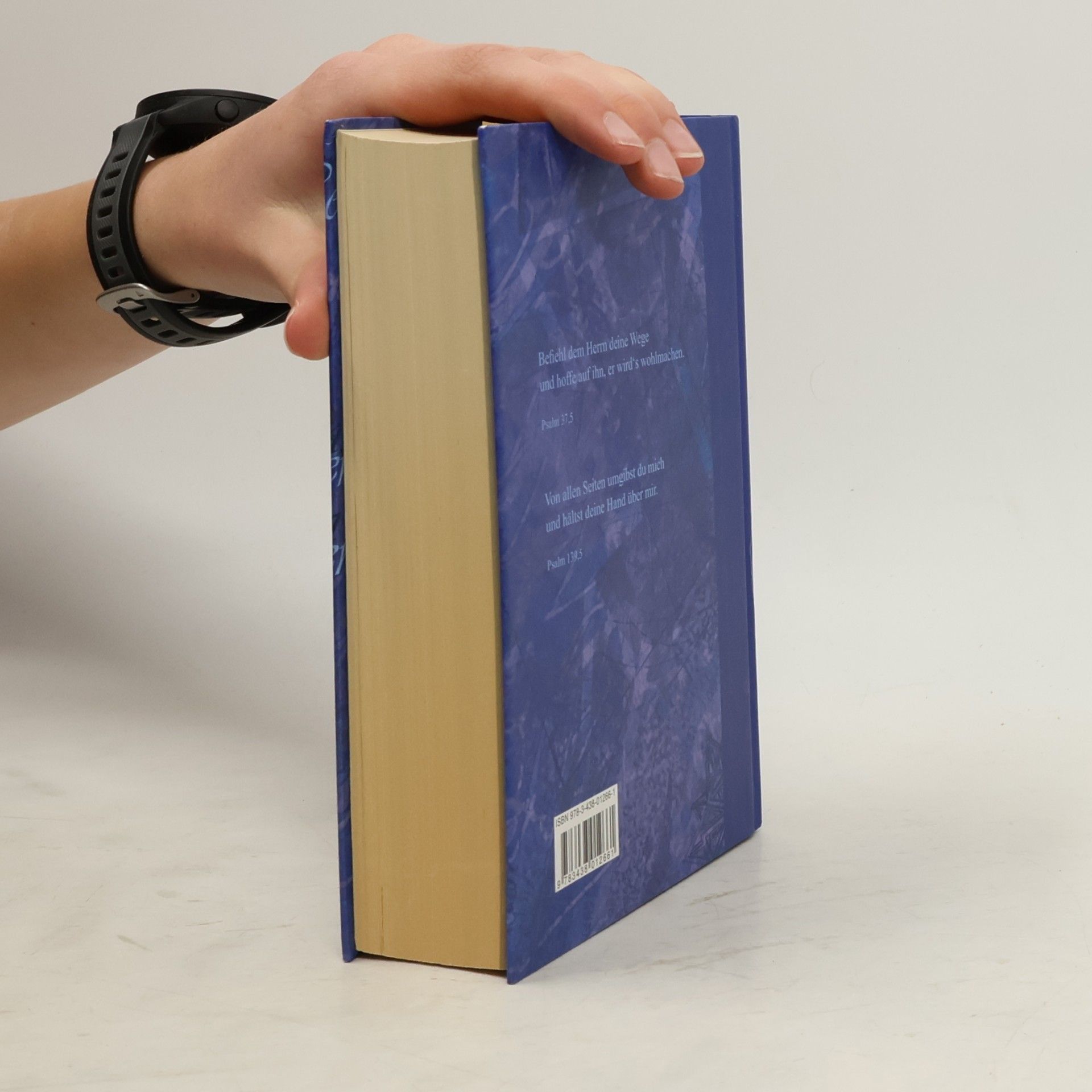 Deutsche Bibelgesellschaft Die Bibel nach Martin Luther
