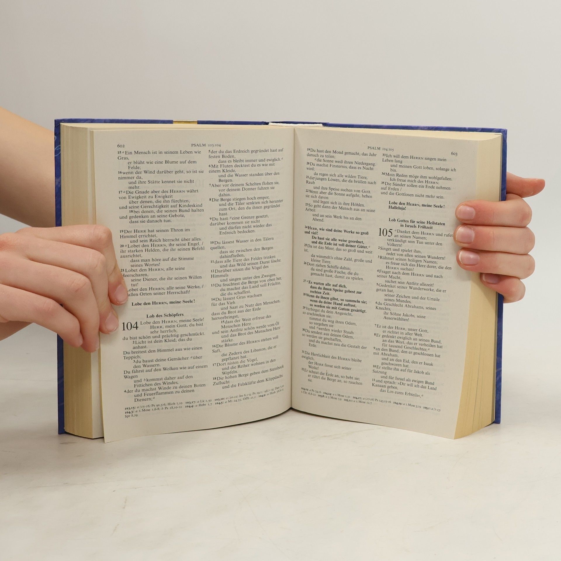 Deutsche Bibelgesellschaft Die Bibel nach Martin Luther