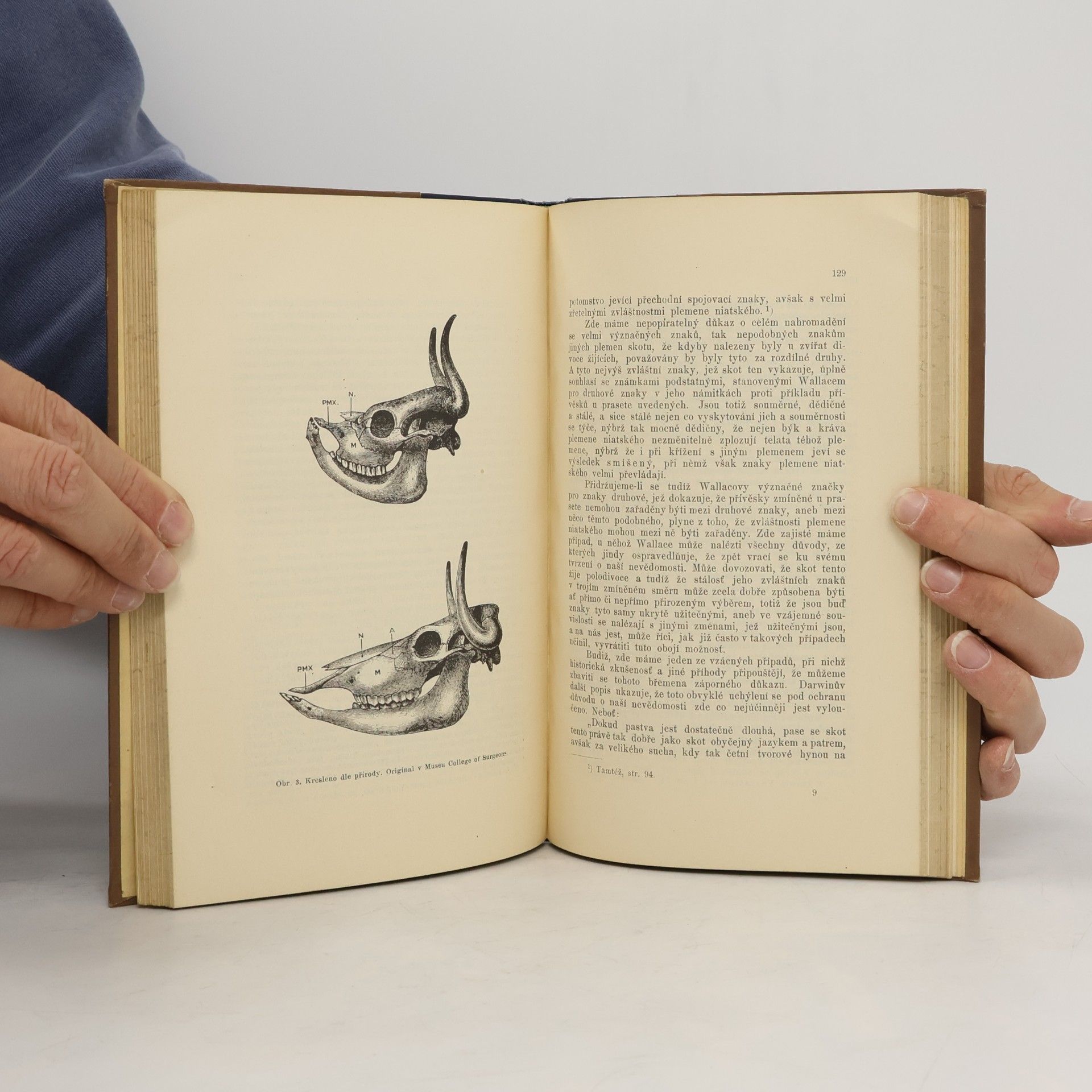 G. J. Romanes Darwin a po Darwinovi
