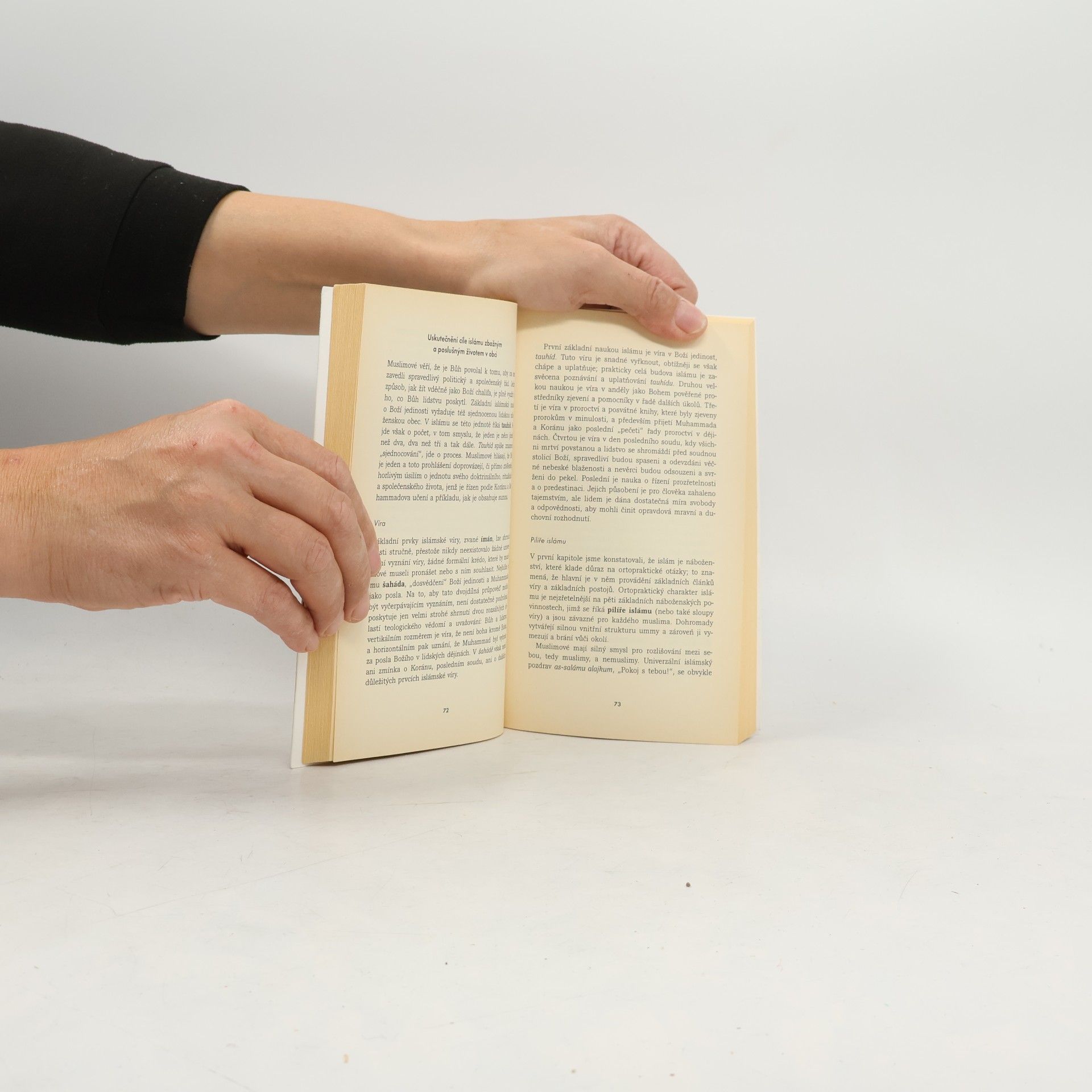 Frederick Mathewson Denny Islám a muslimská obec