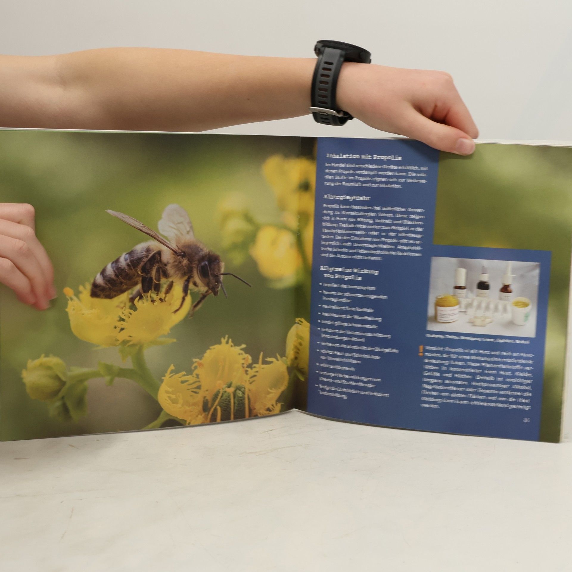 Rosemarie Bort Die Heilkraft der Bienen