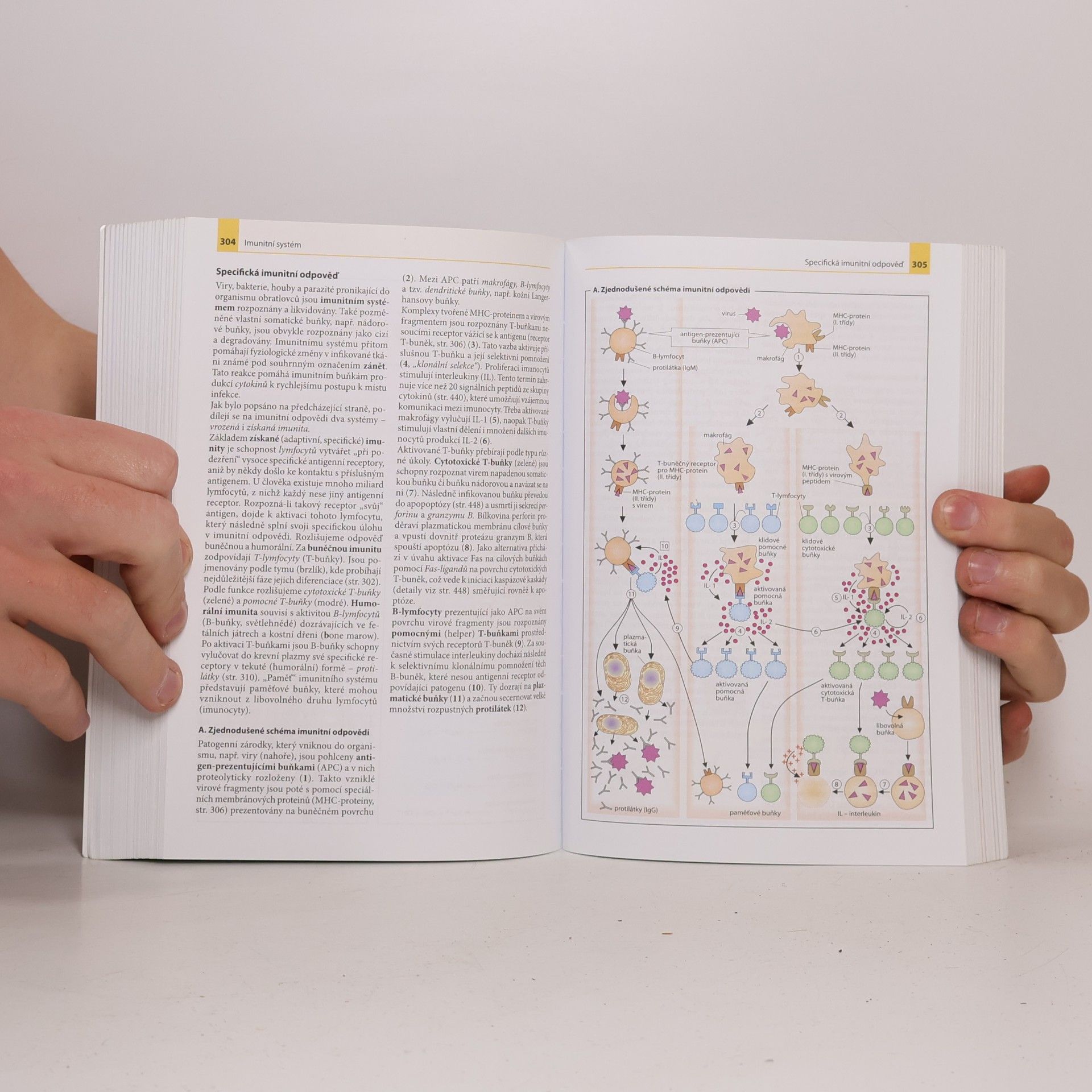 Jan Koolman Barevný atlas biochemie