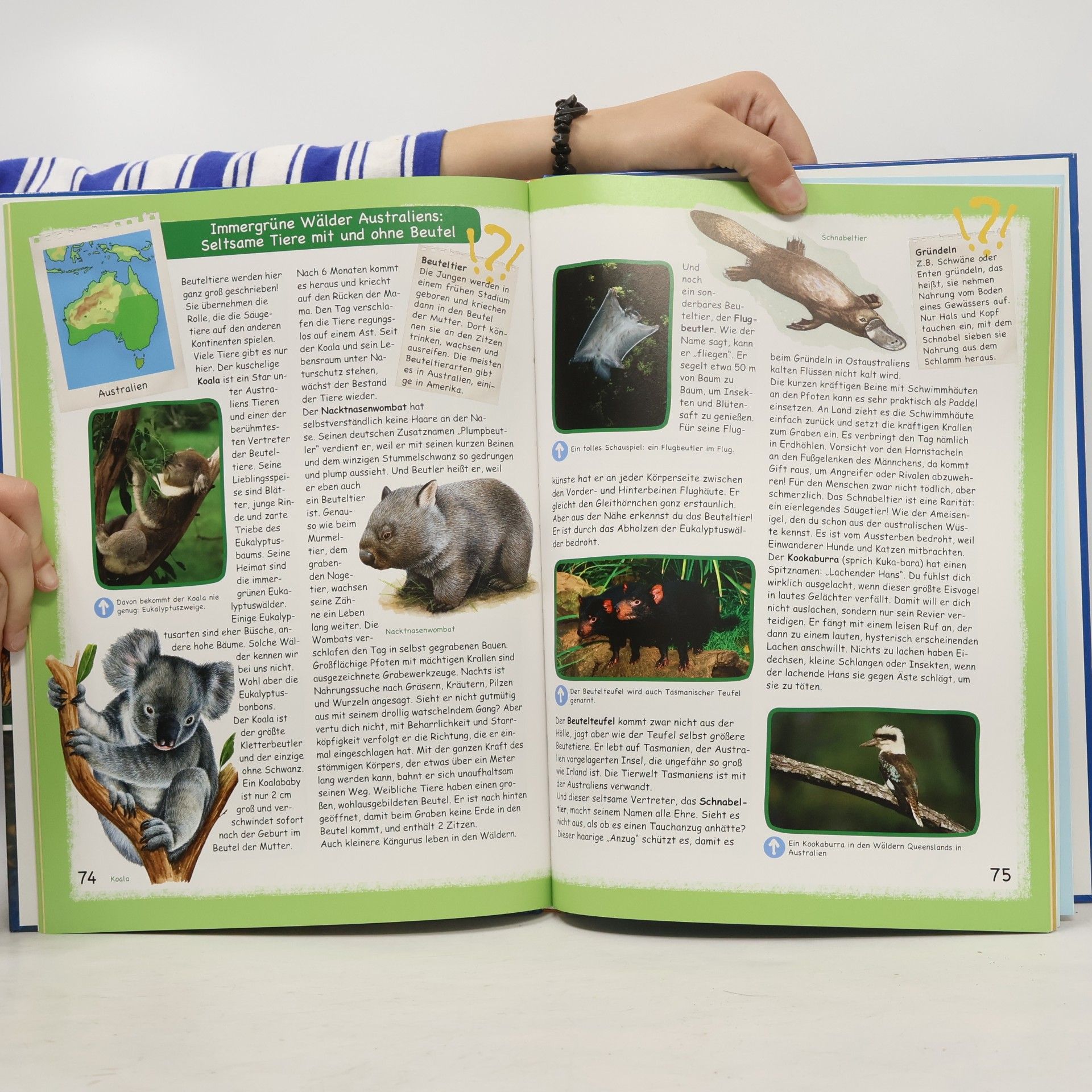 Autorenkollektiv Tieratlas für Kinder