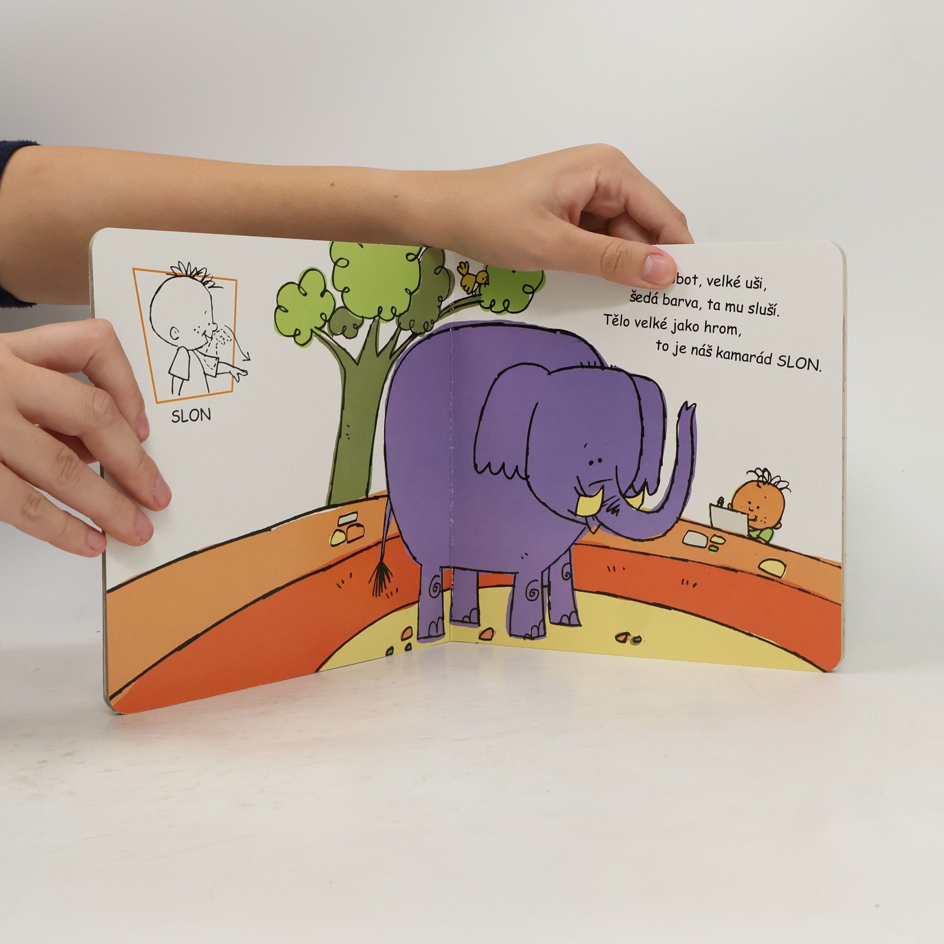Various authors Učíme se znakovat v ZOO s Kreslínkem