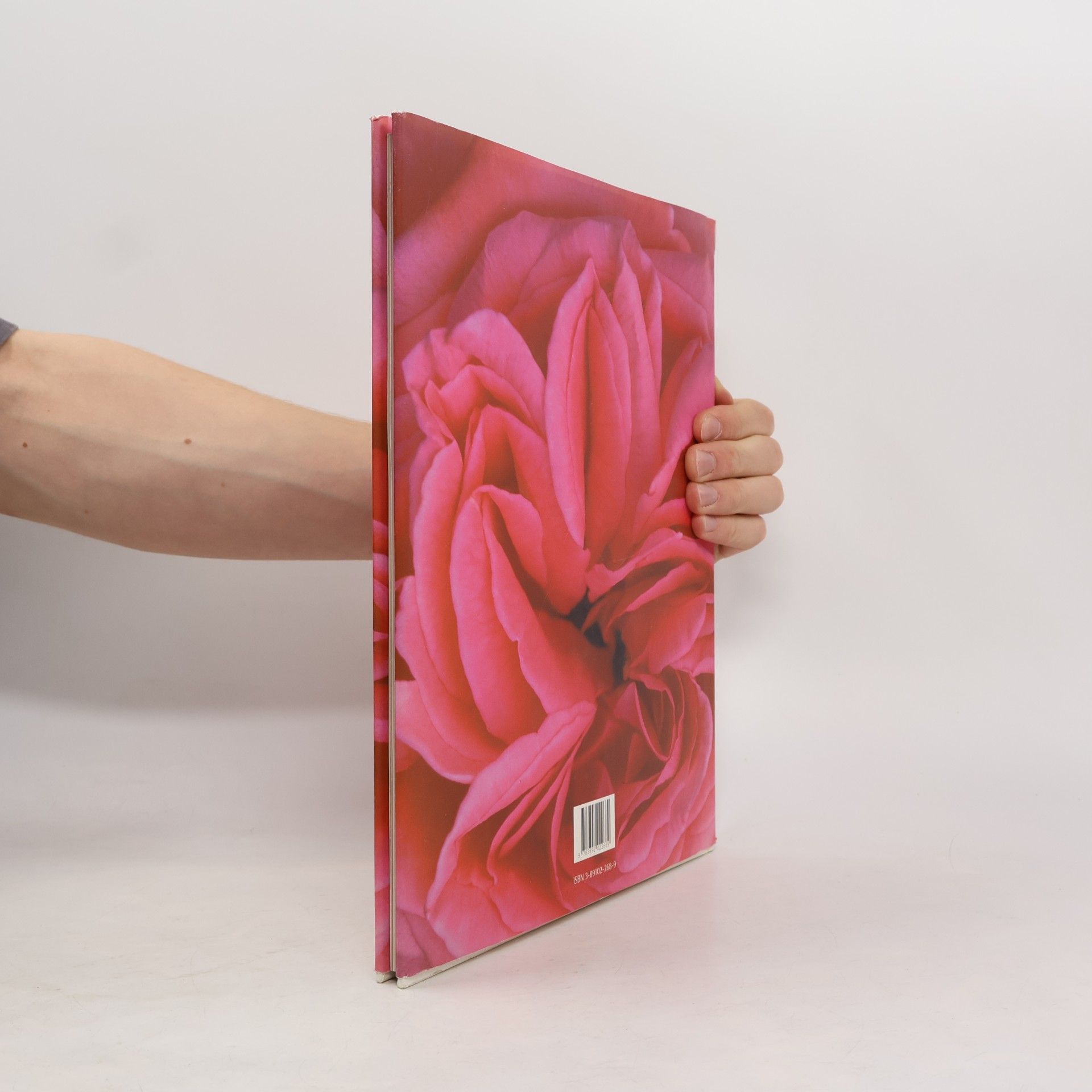 Roswitha Pross Rose Eros