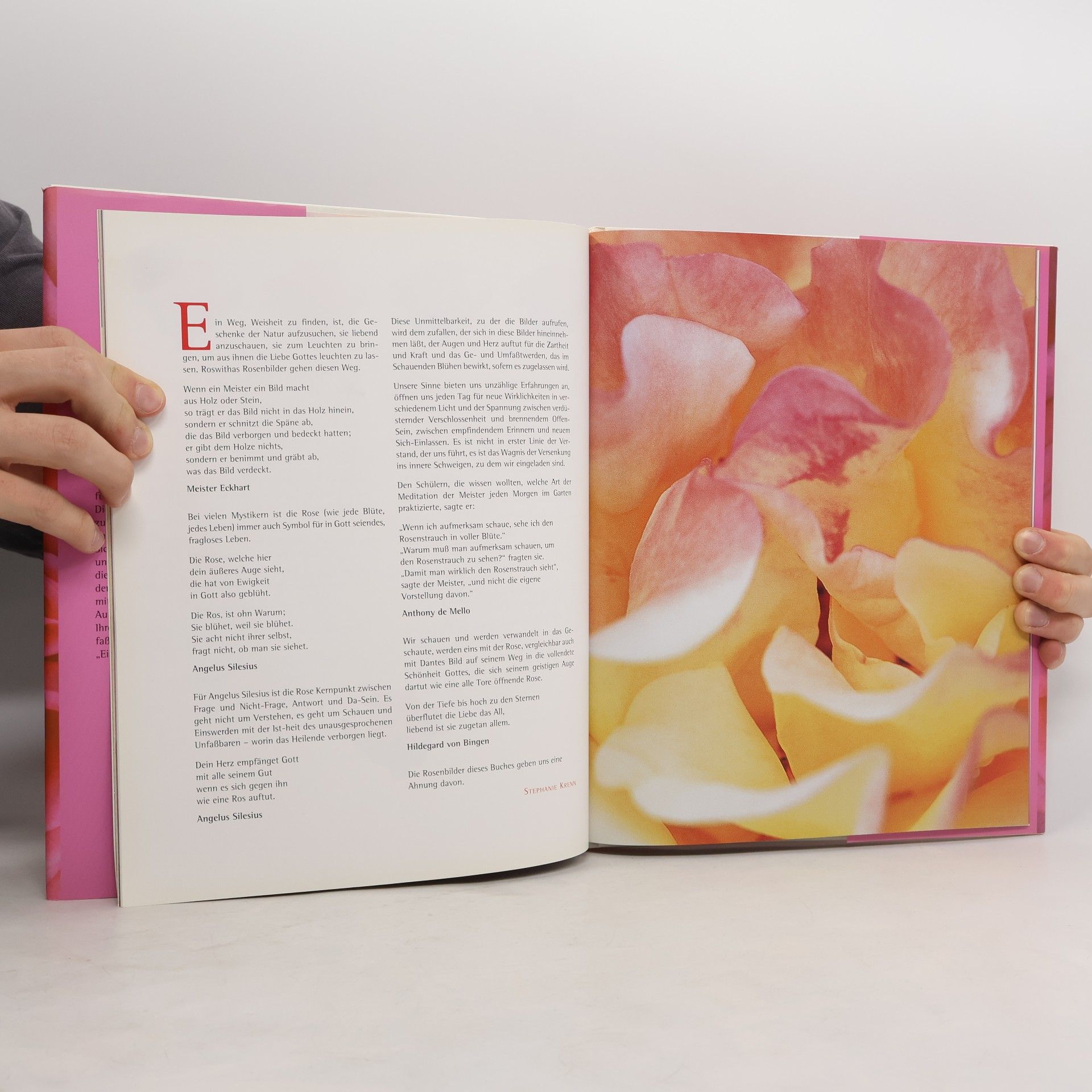 Roswitha Pross Rose Eros