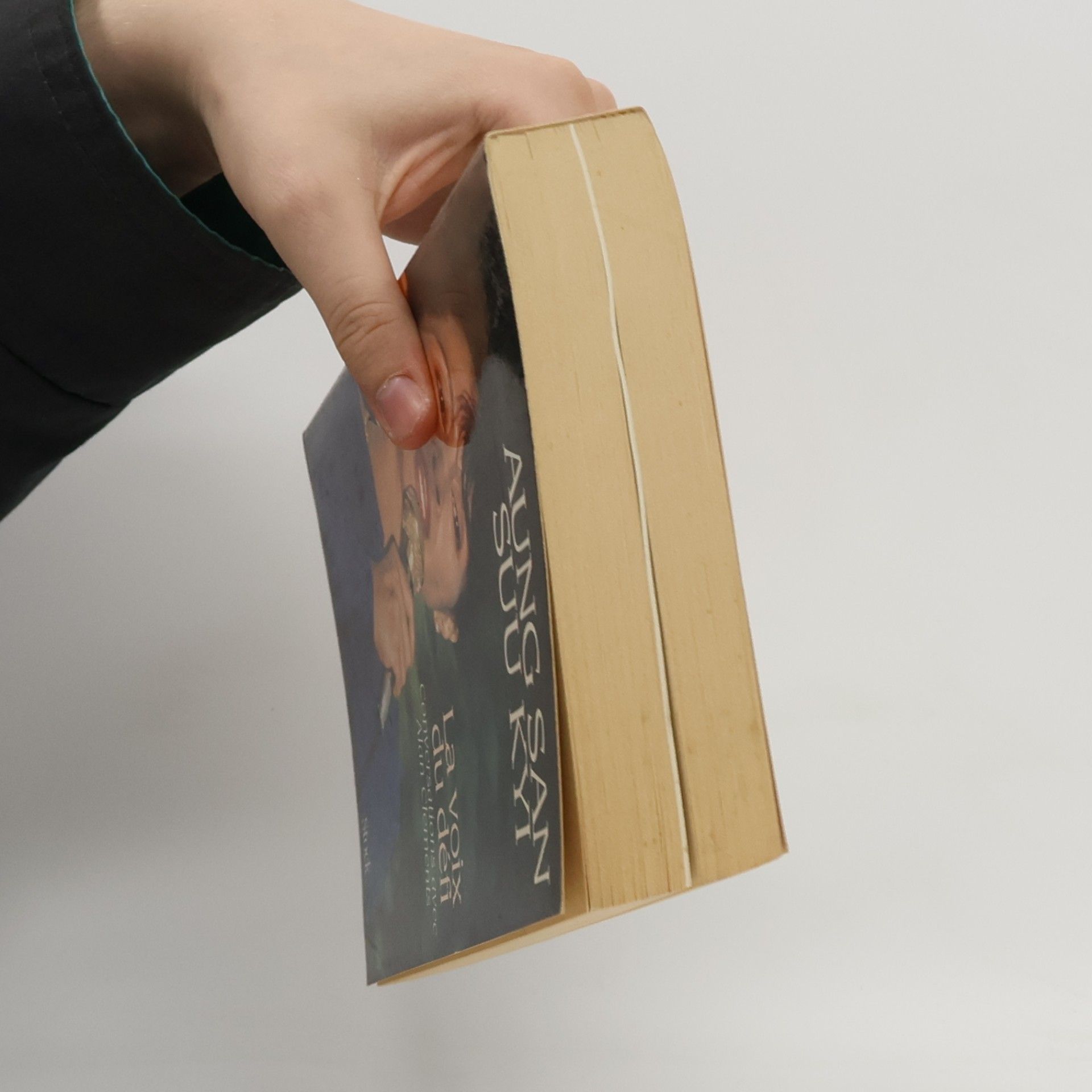Aung San Suu Kyi La voix du défi