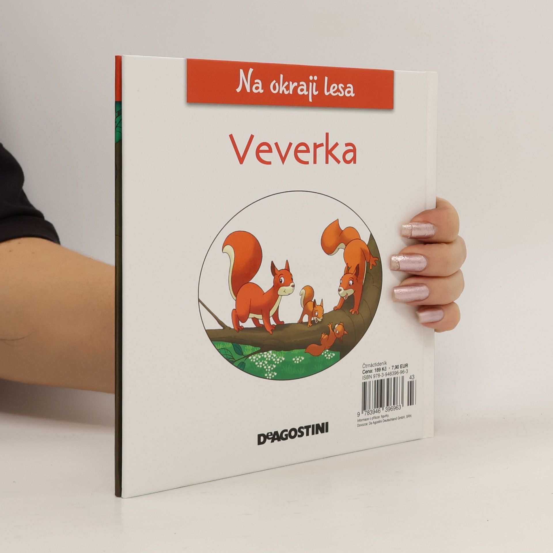 Autorenkollektiv Na okraji lesa 5. Veverka
