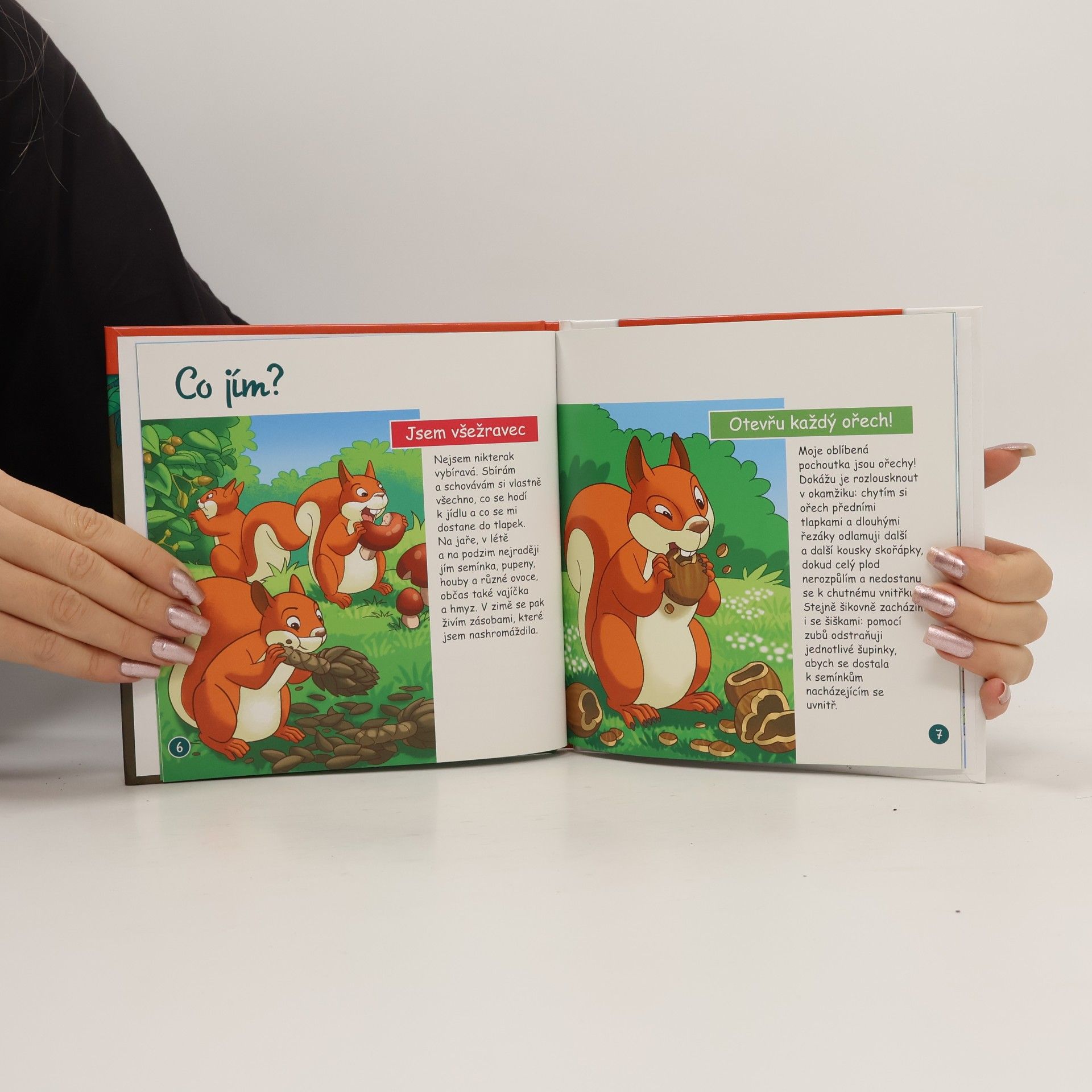 Autorenkollektiv Na okraji lesa 5. Veverka
