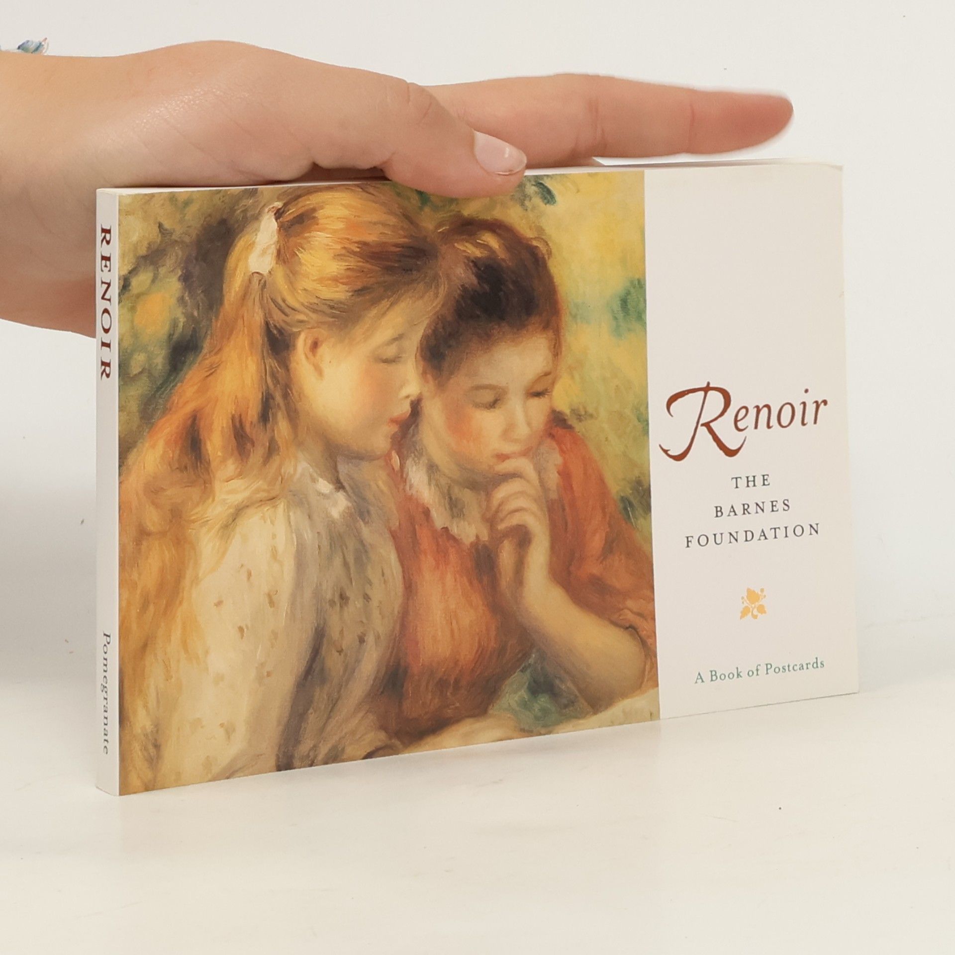 Renoir: The Barnes Foundation
