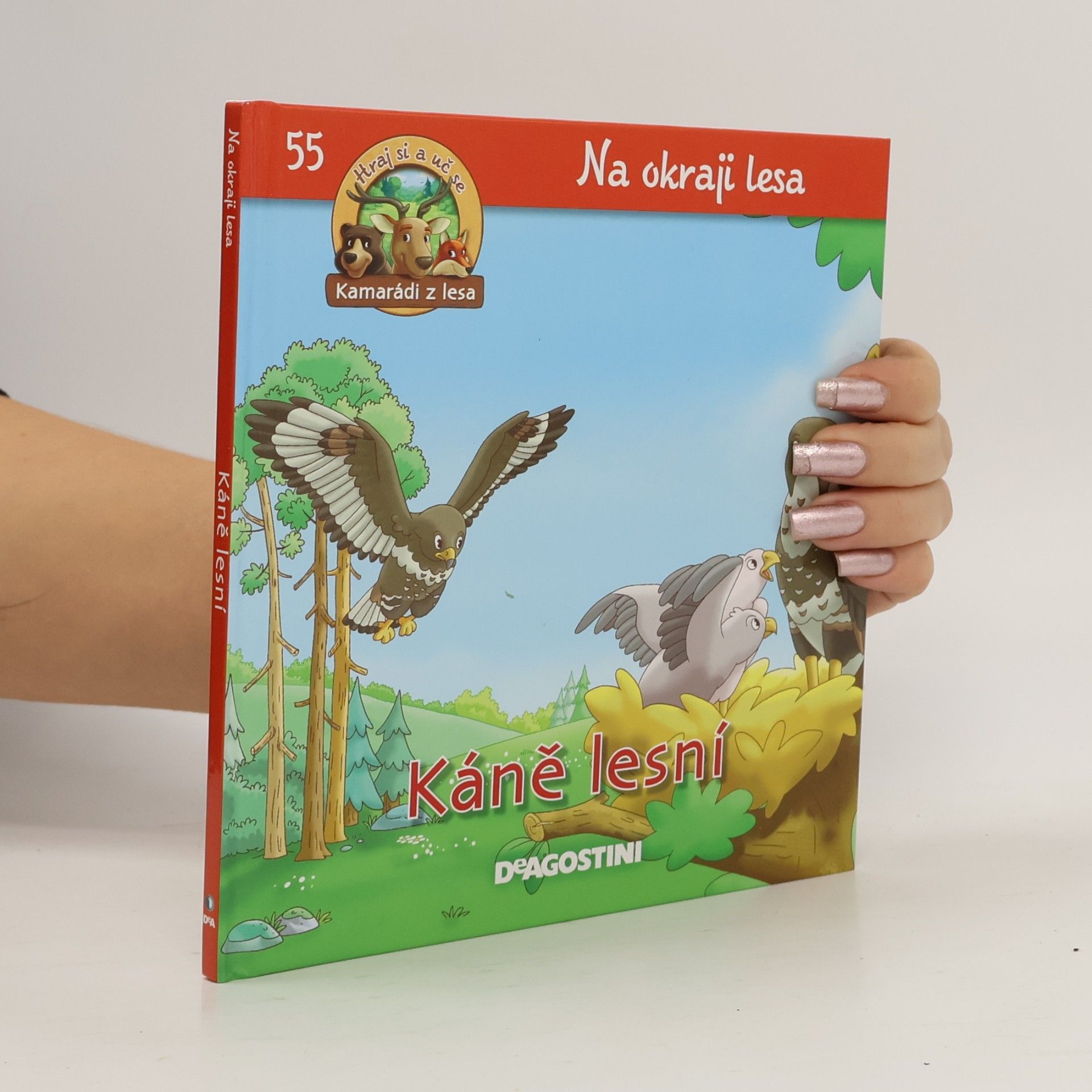 Na okraji lesa 55. Káně lesní