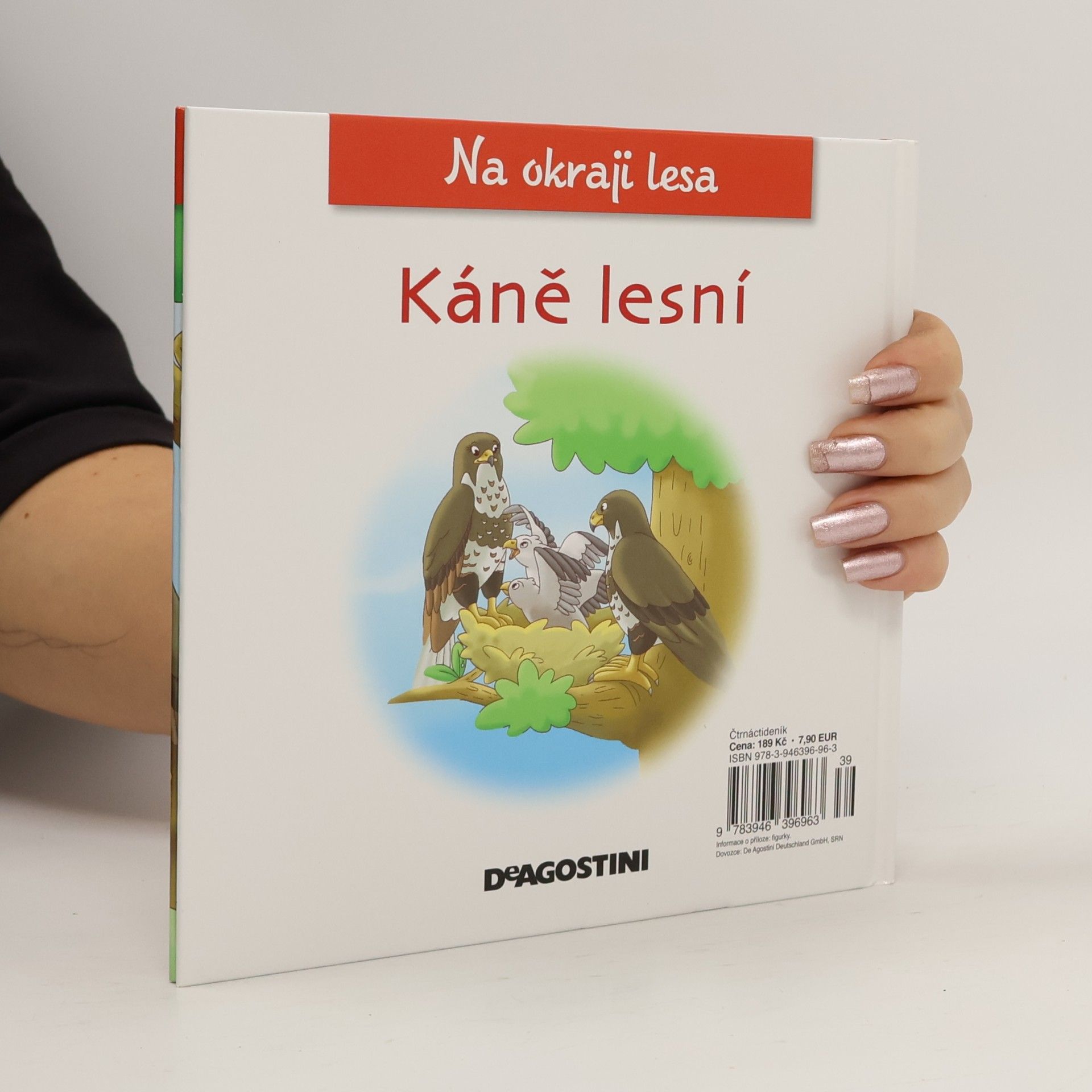 Petra Zavřelová Na okraji lesa 55. Káně lesní