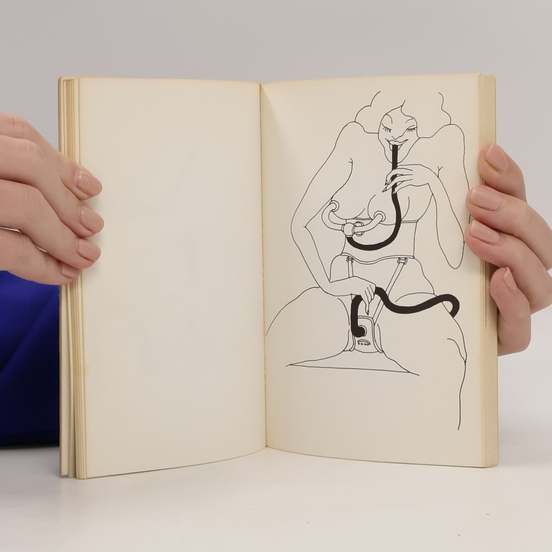 Tomi Ungerer Fornicon