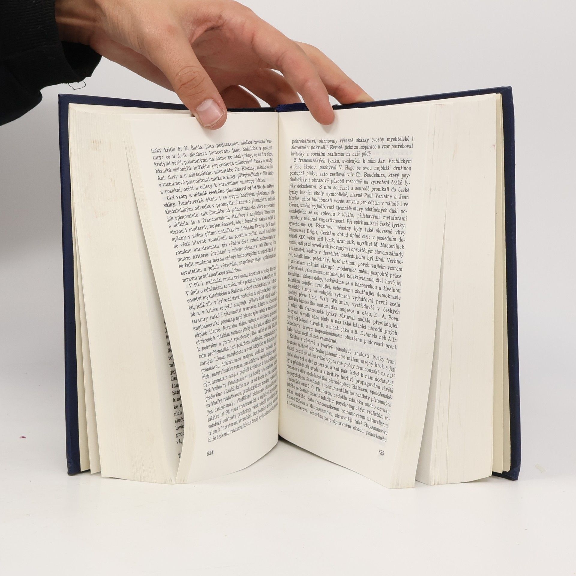 Jan Václav Novák Přehledné dějiny literatury české