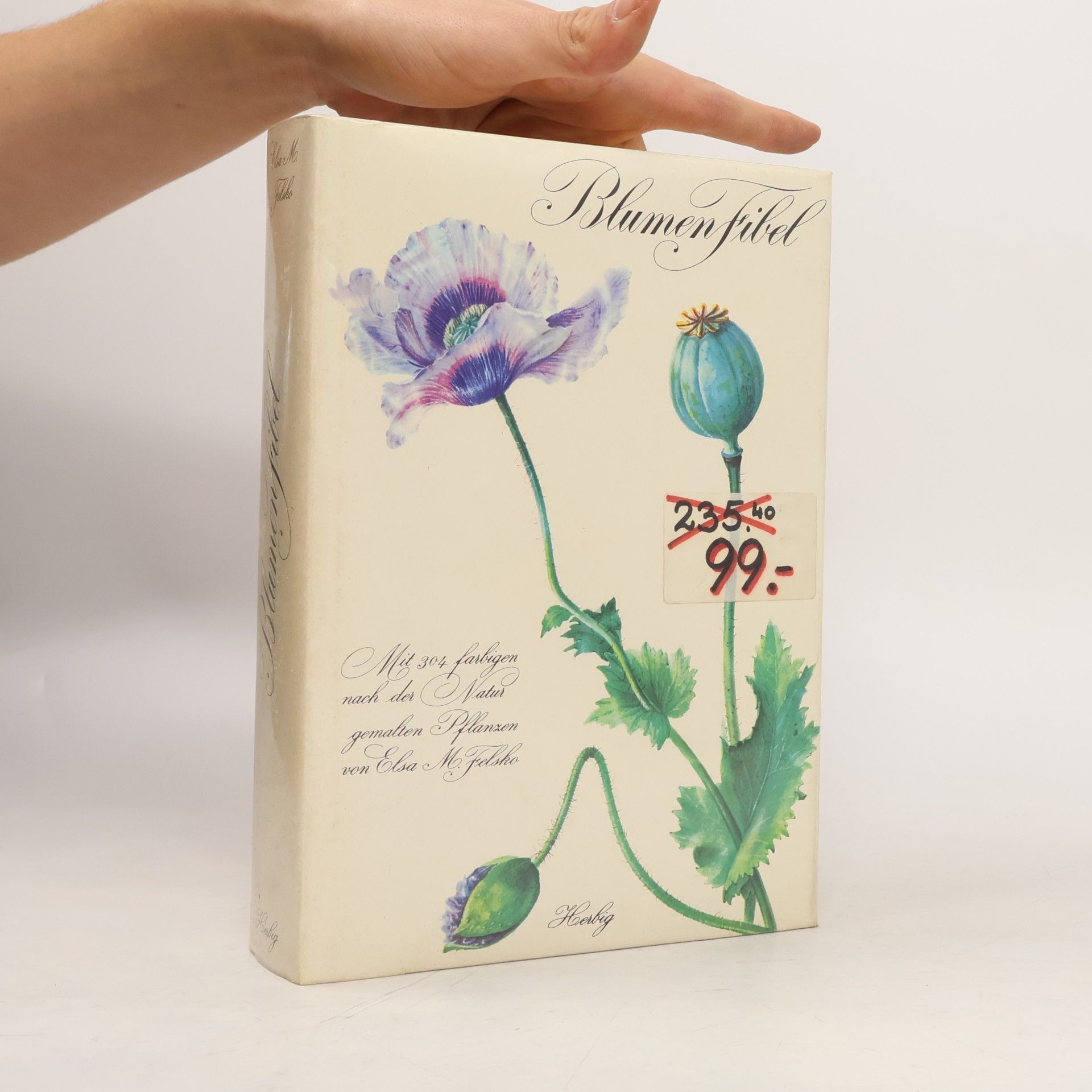 Blumen-Fibel (Erster Band)