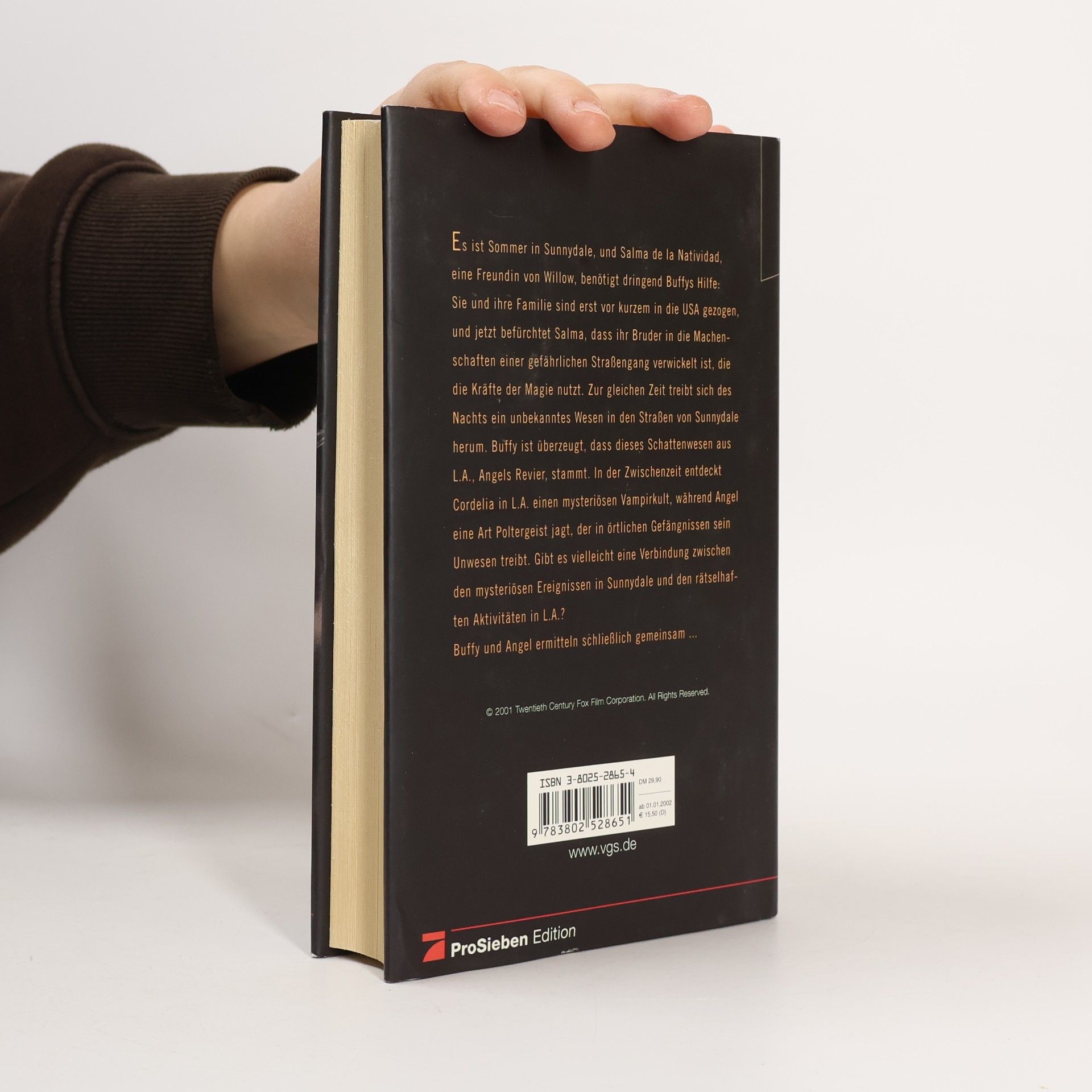 Nancy Holder Die geheime Geschichte. Buch.1. Das Reich der Schatten. Aus d. Amerikan. v. Antje Görnig