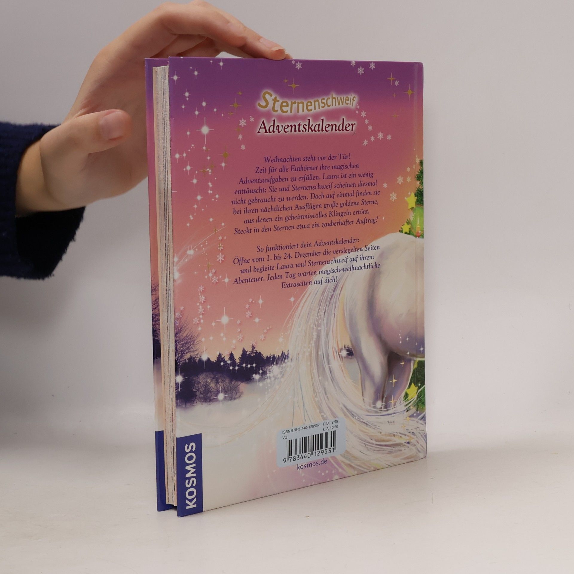 Carolin Ina Schröter Sternenschweif-Adventskalender die Zaubermelodie