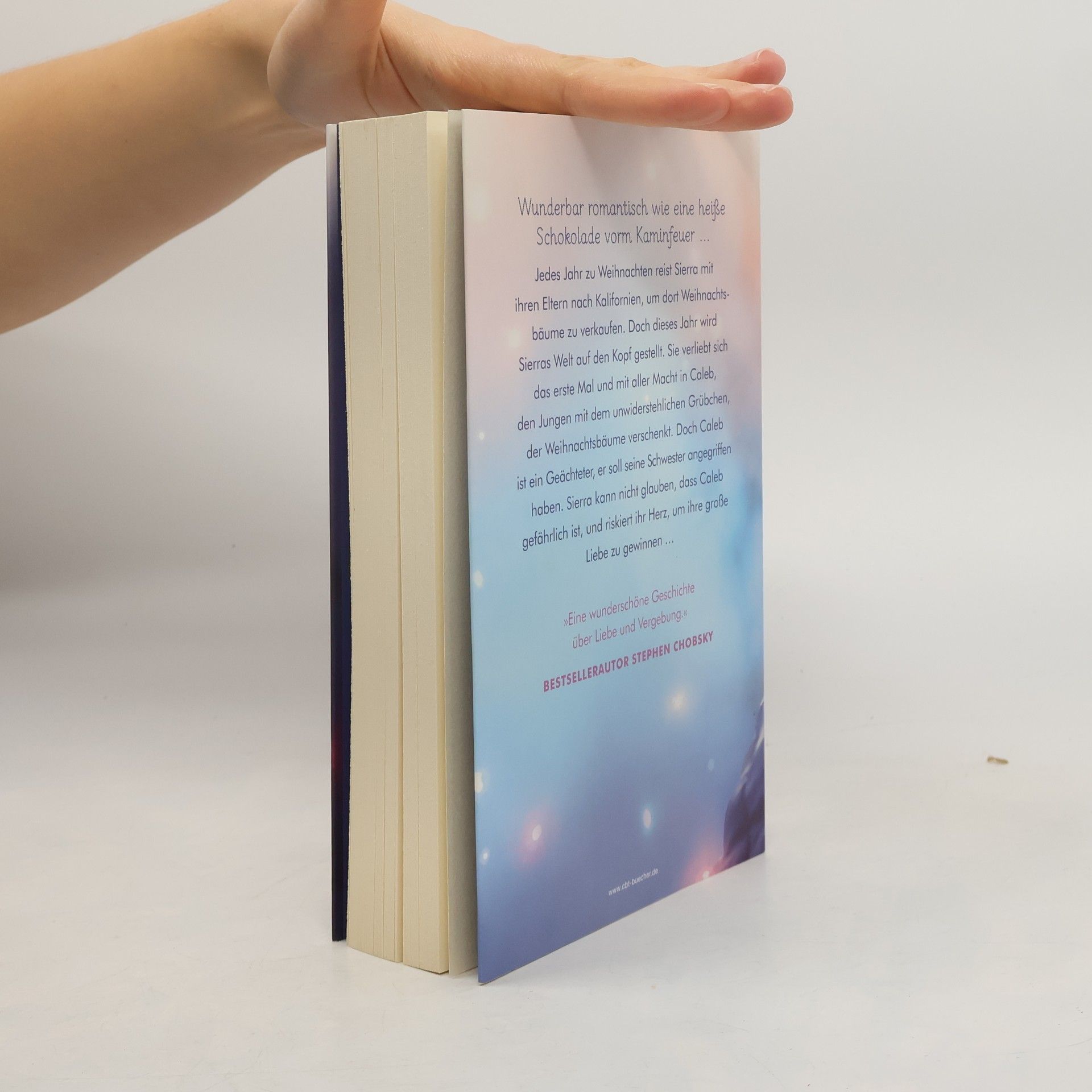 Jay Asher Dein Leuchten