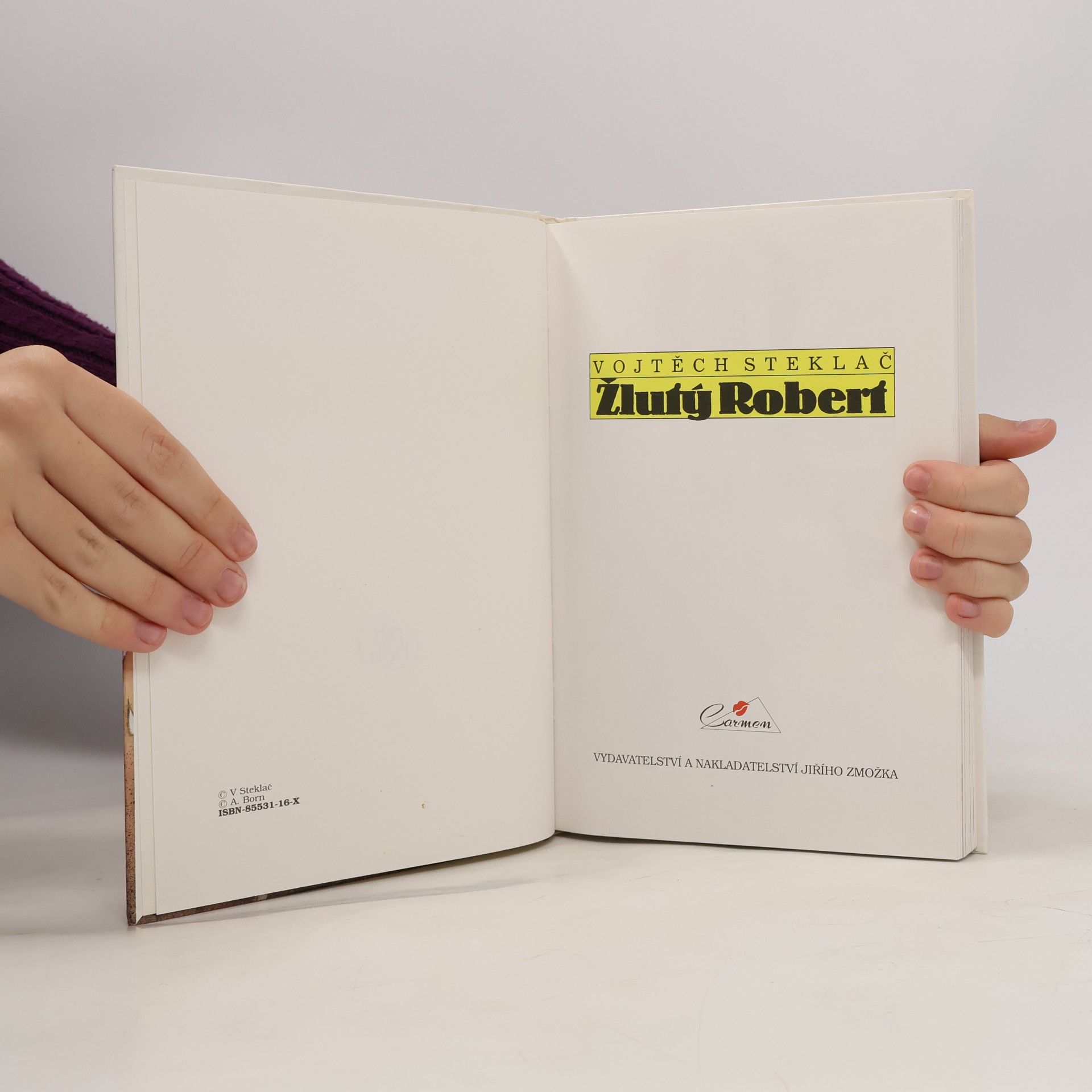Vojtěch Steklač Žlutý Robert