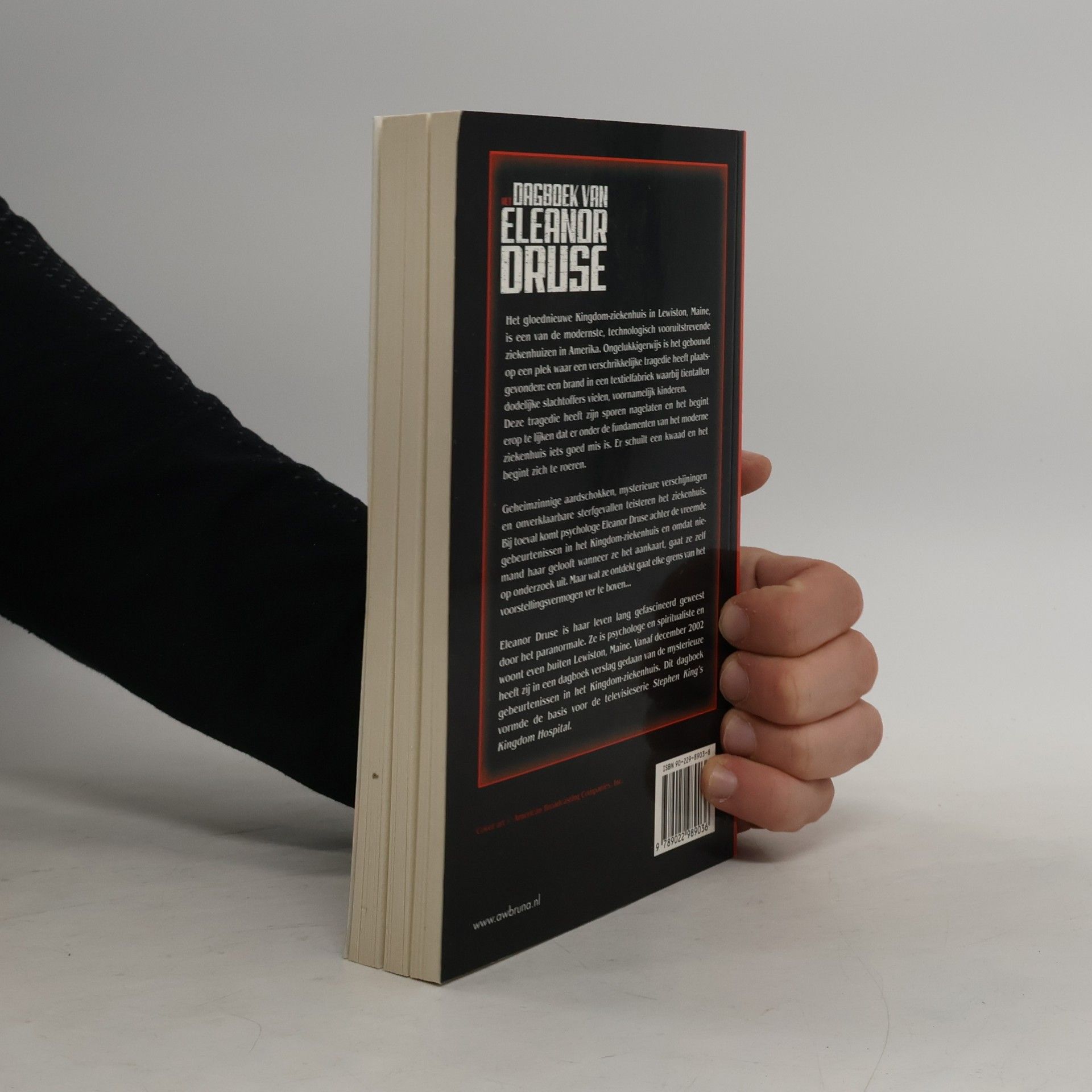 Eleanor Druse Het dagboek van Eleanor Druse
