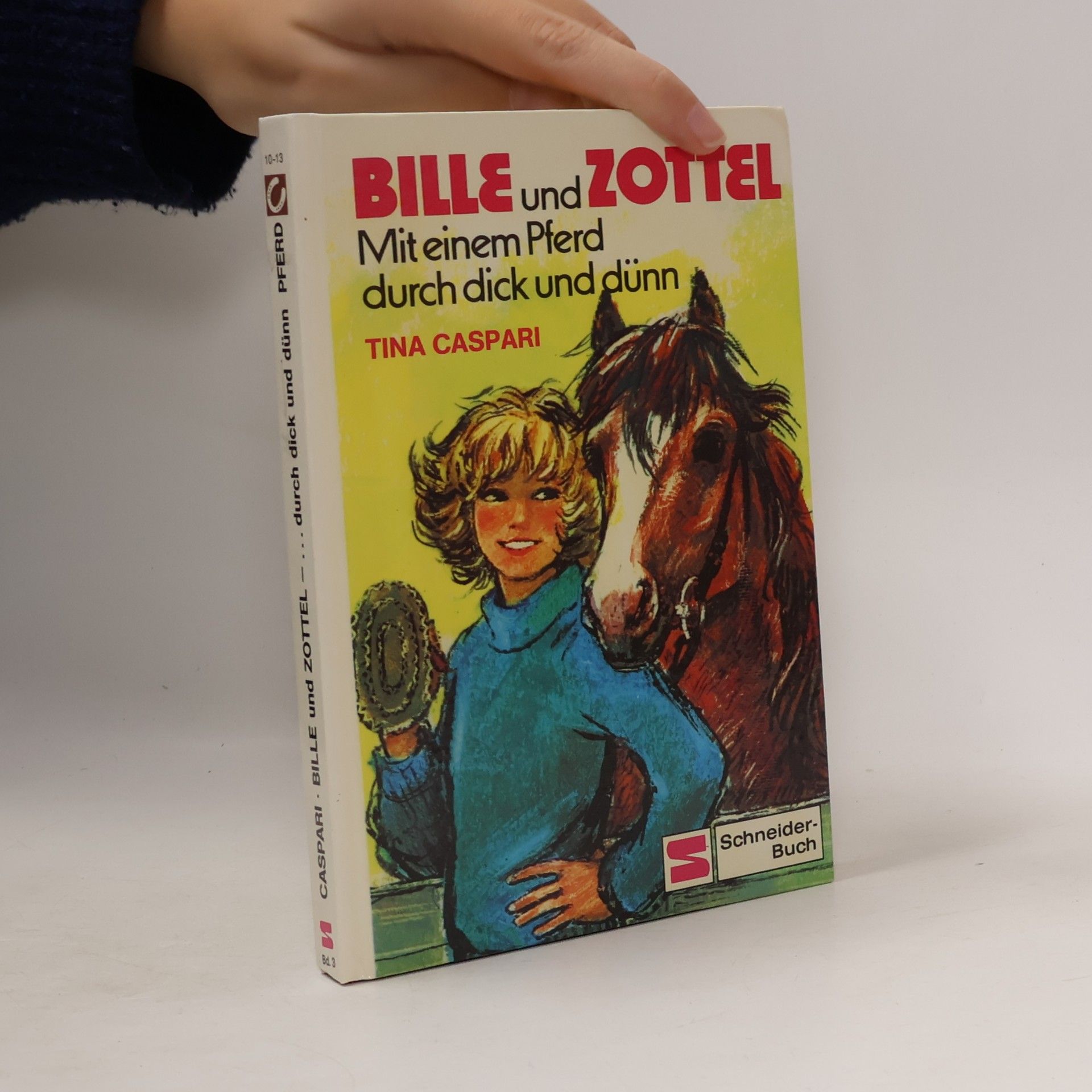 Bille und Zottel. Mit einem Pferd durch dick und dünn