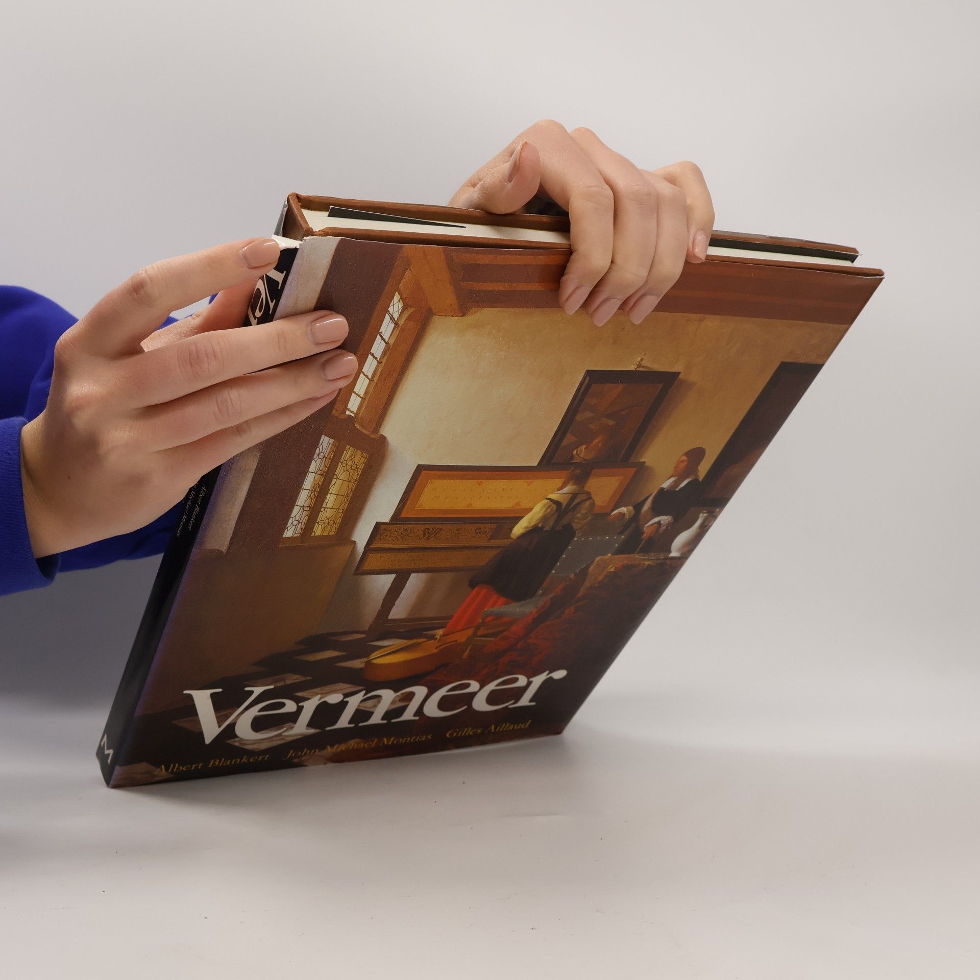 Albert Blankert Vermeer