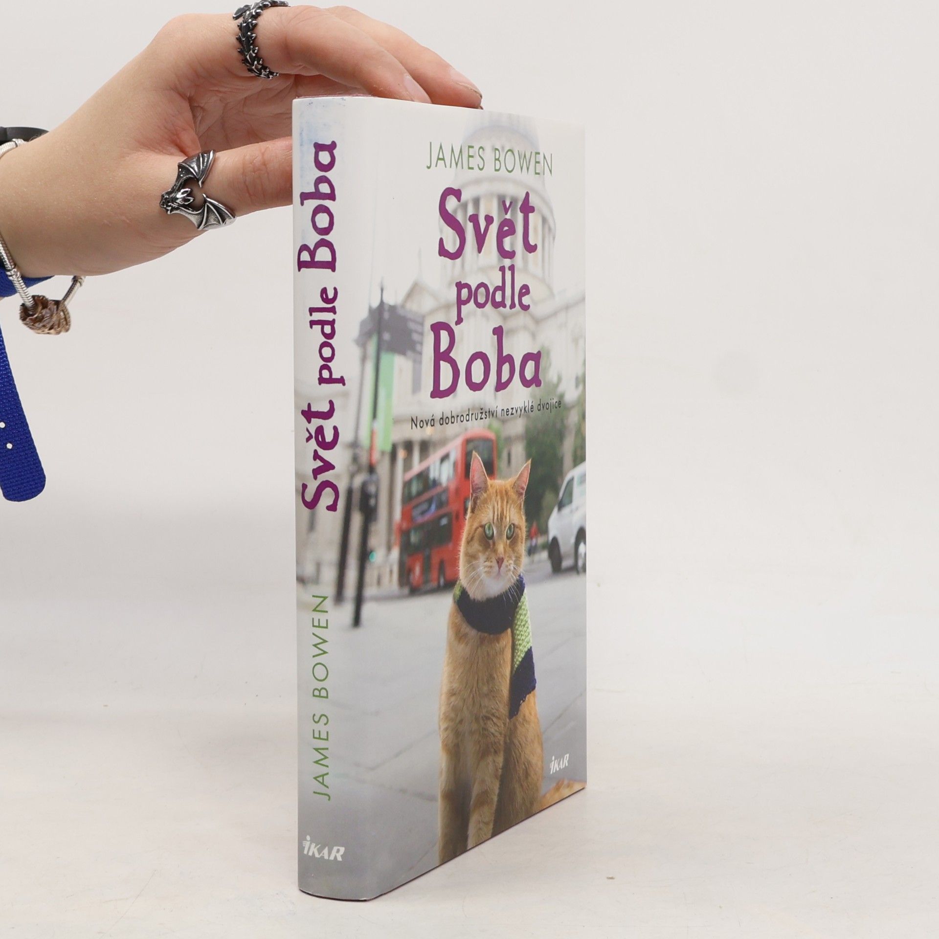 James Bowen Svět podle Boba