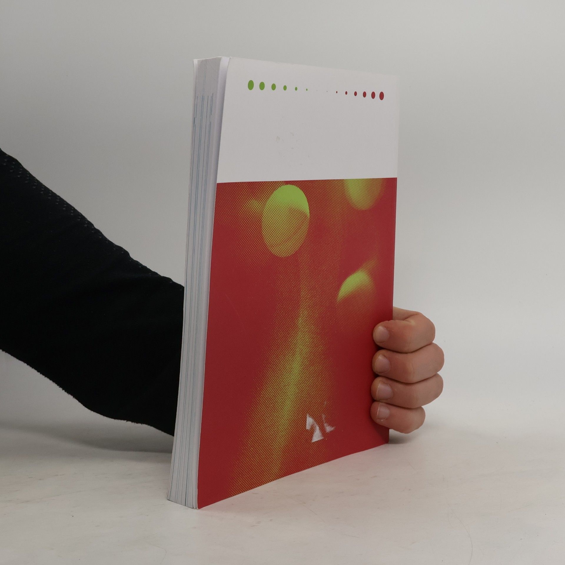 Paul Ruis Stuiteren & spiegelen