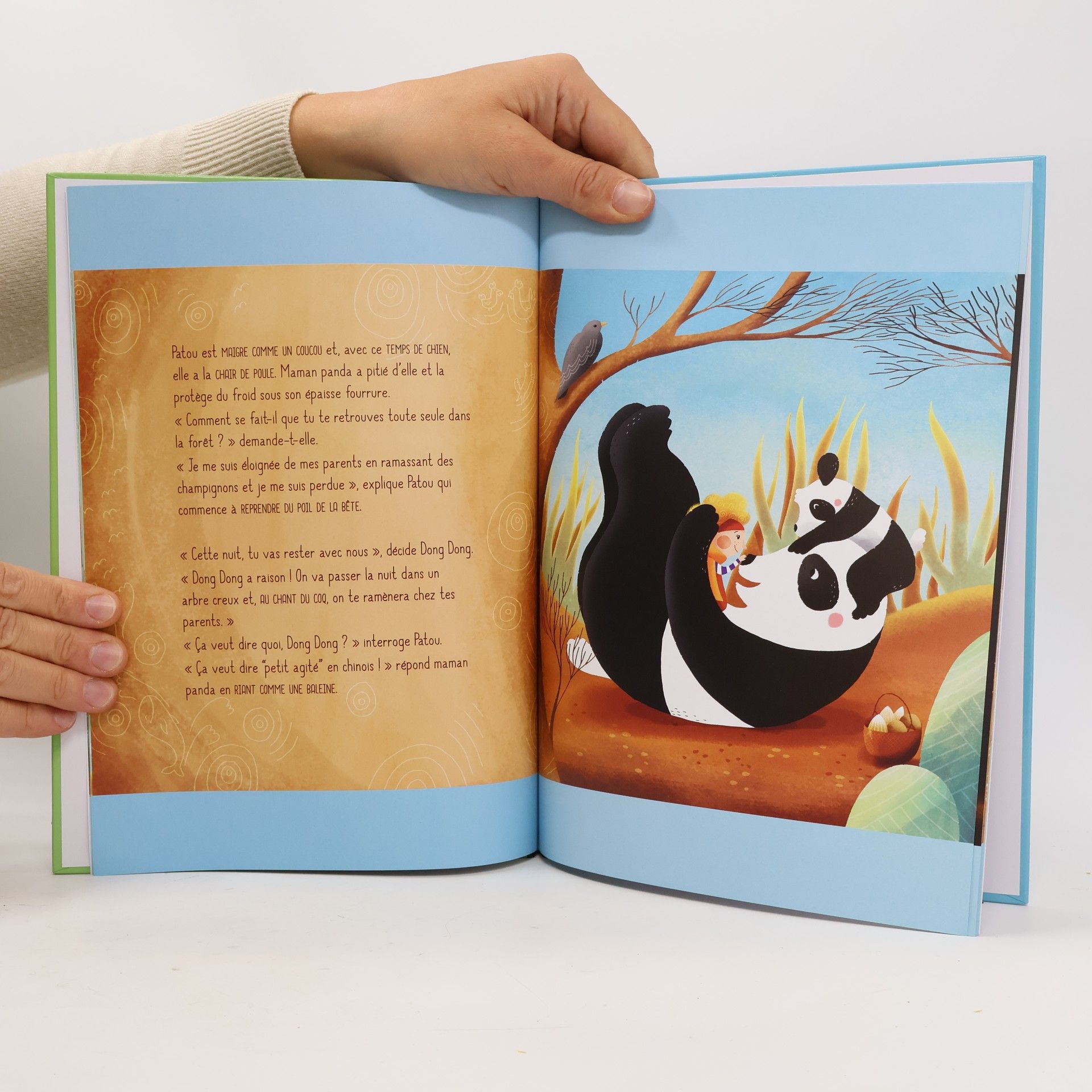 Bernard Guiraud Patou et les pandas