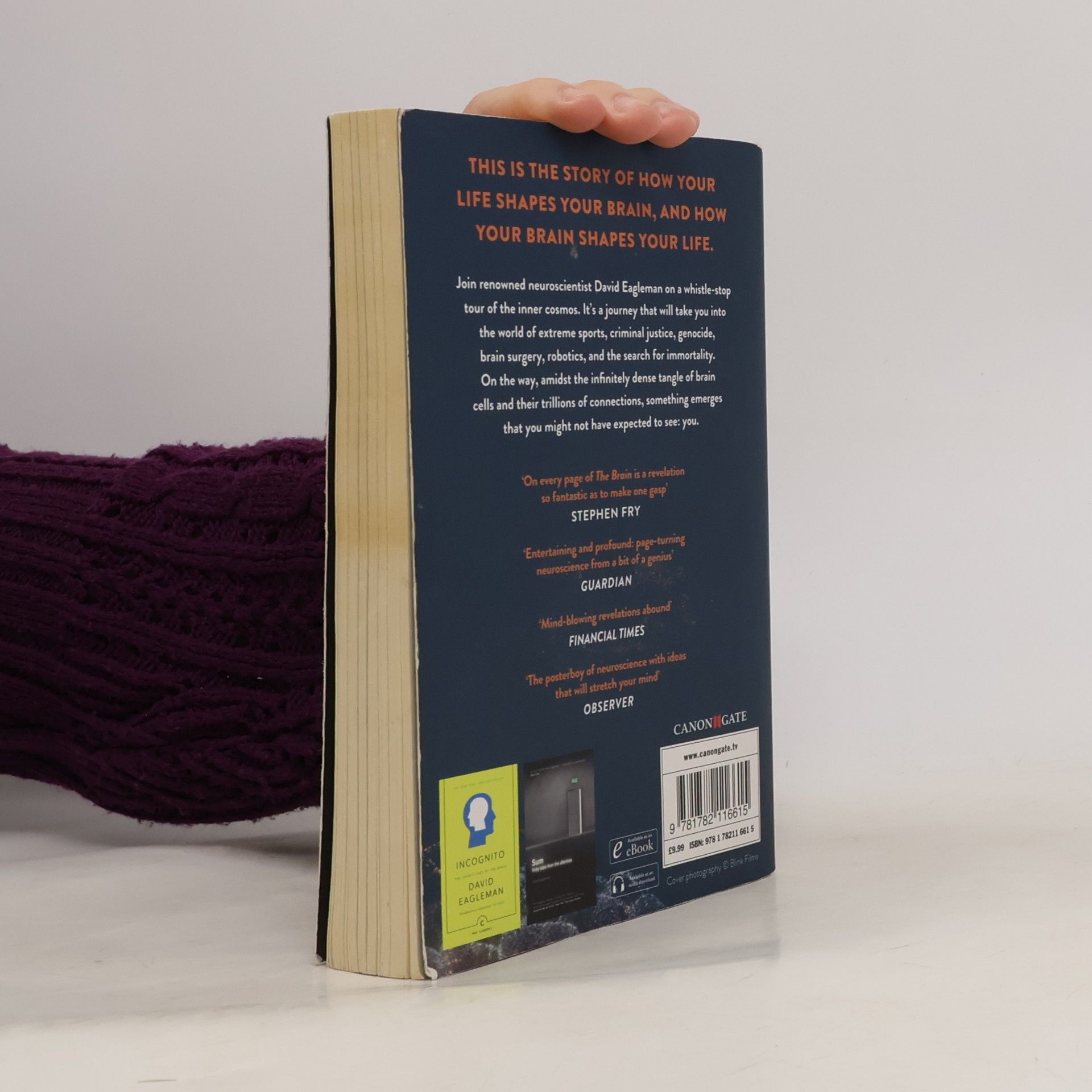 David Eagleman The brain : the story of you