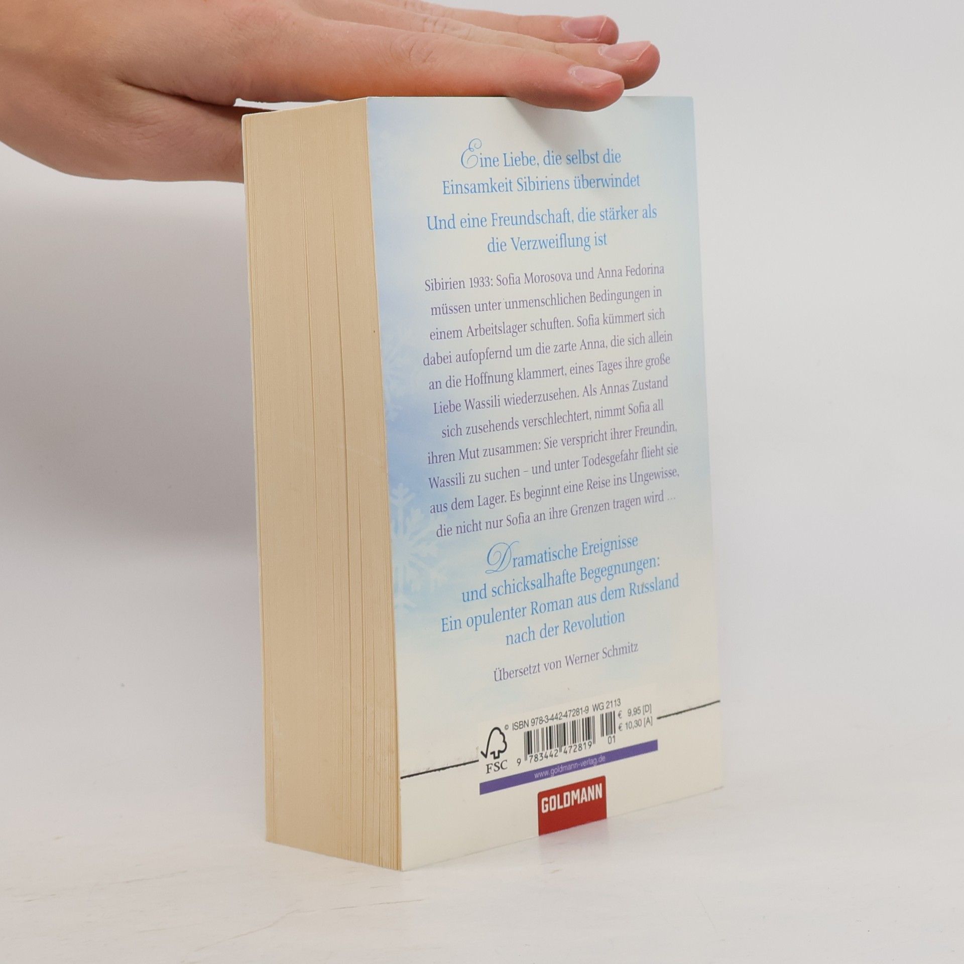 Kate Furnivall Bis ans Ende des Himmels